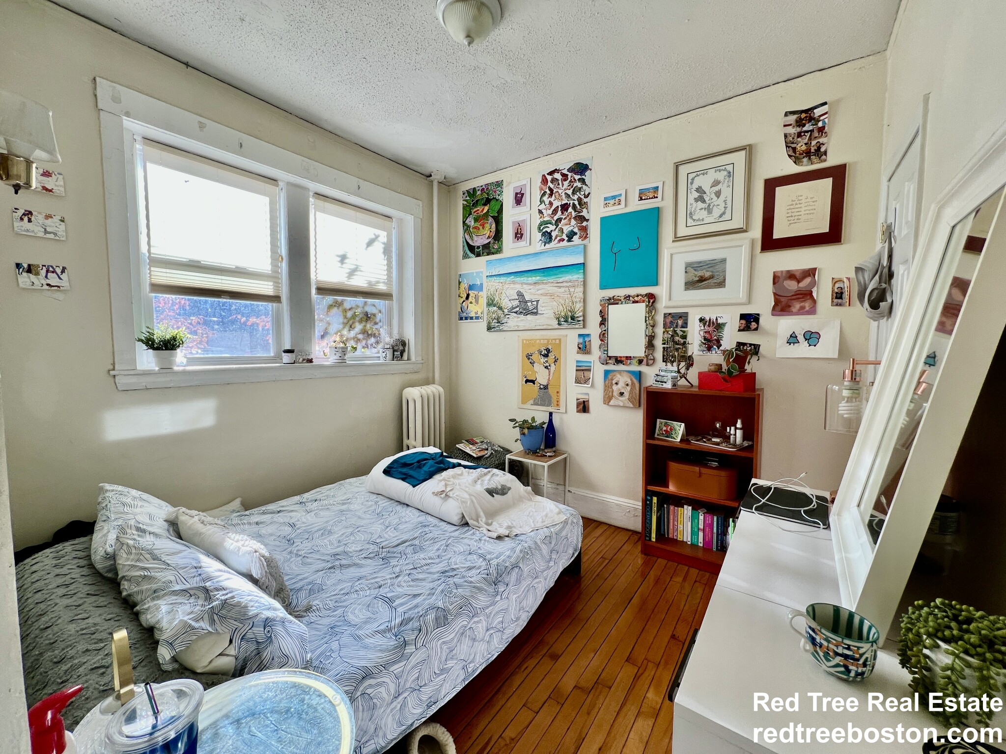 60 Egmont St, North Brookline