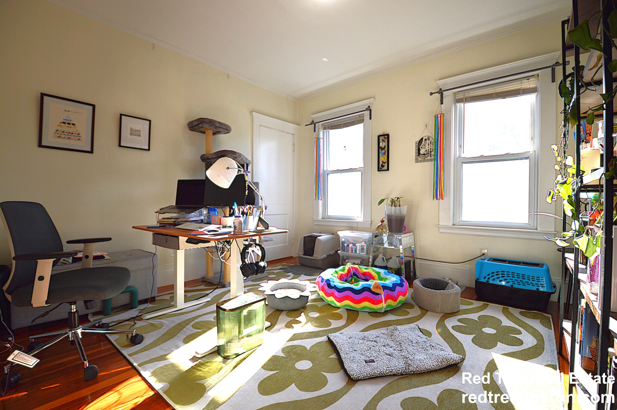 16 Nonantum St, Brighton