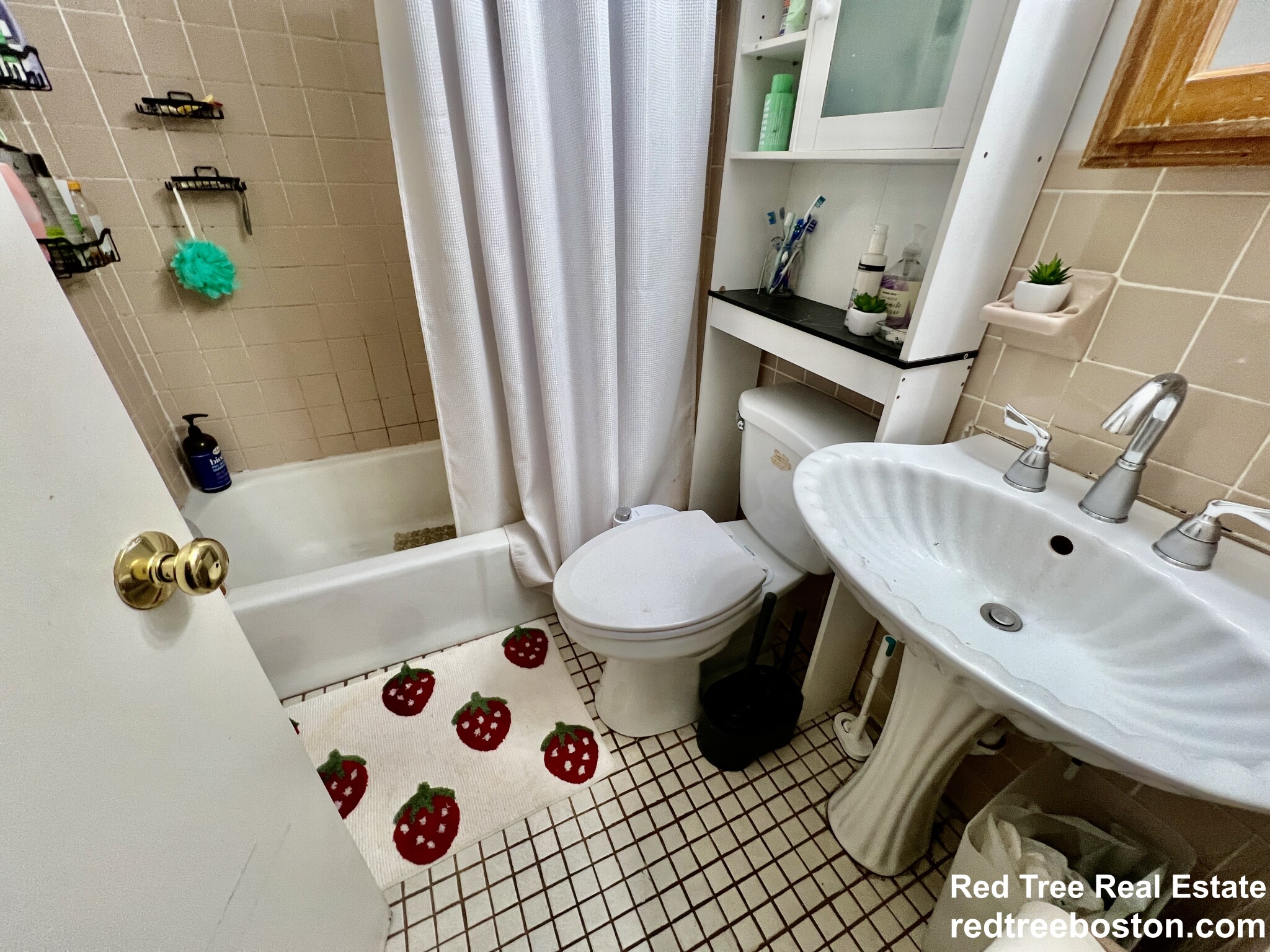 3 Warwick St, Mission Hill