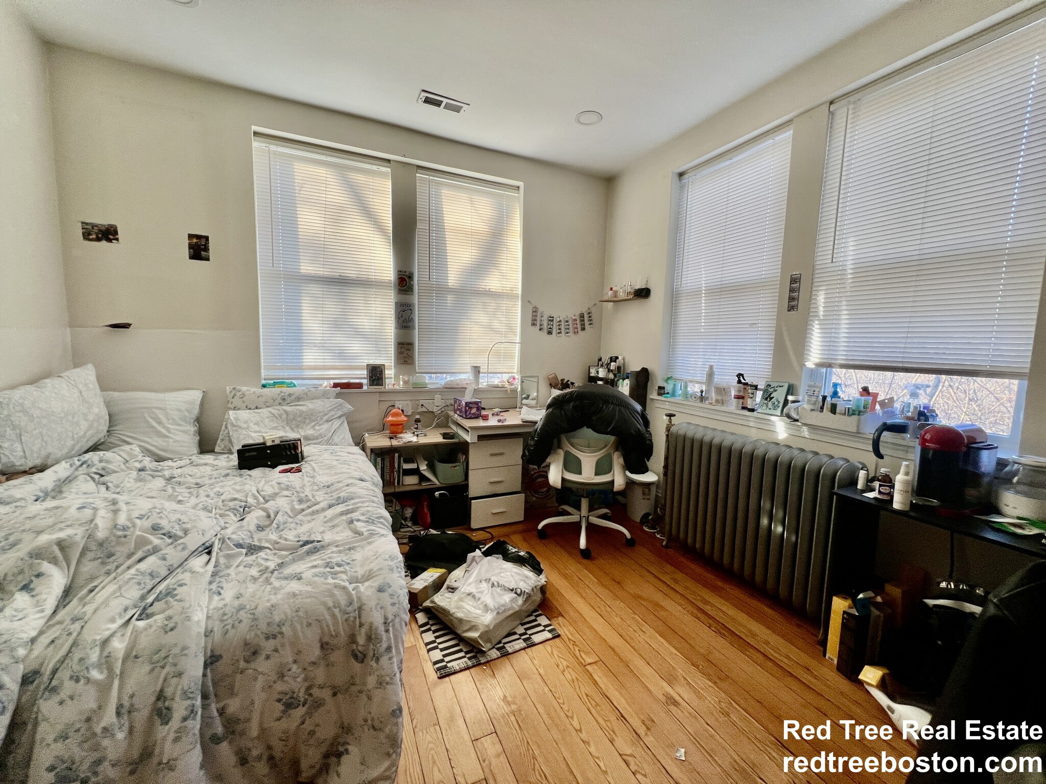 16 Copenger St, Mission Hill