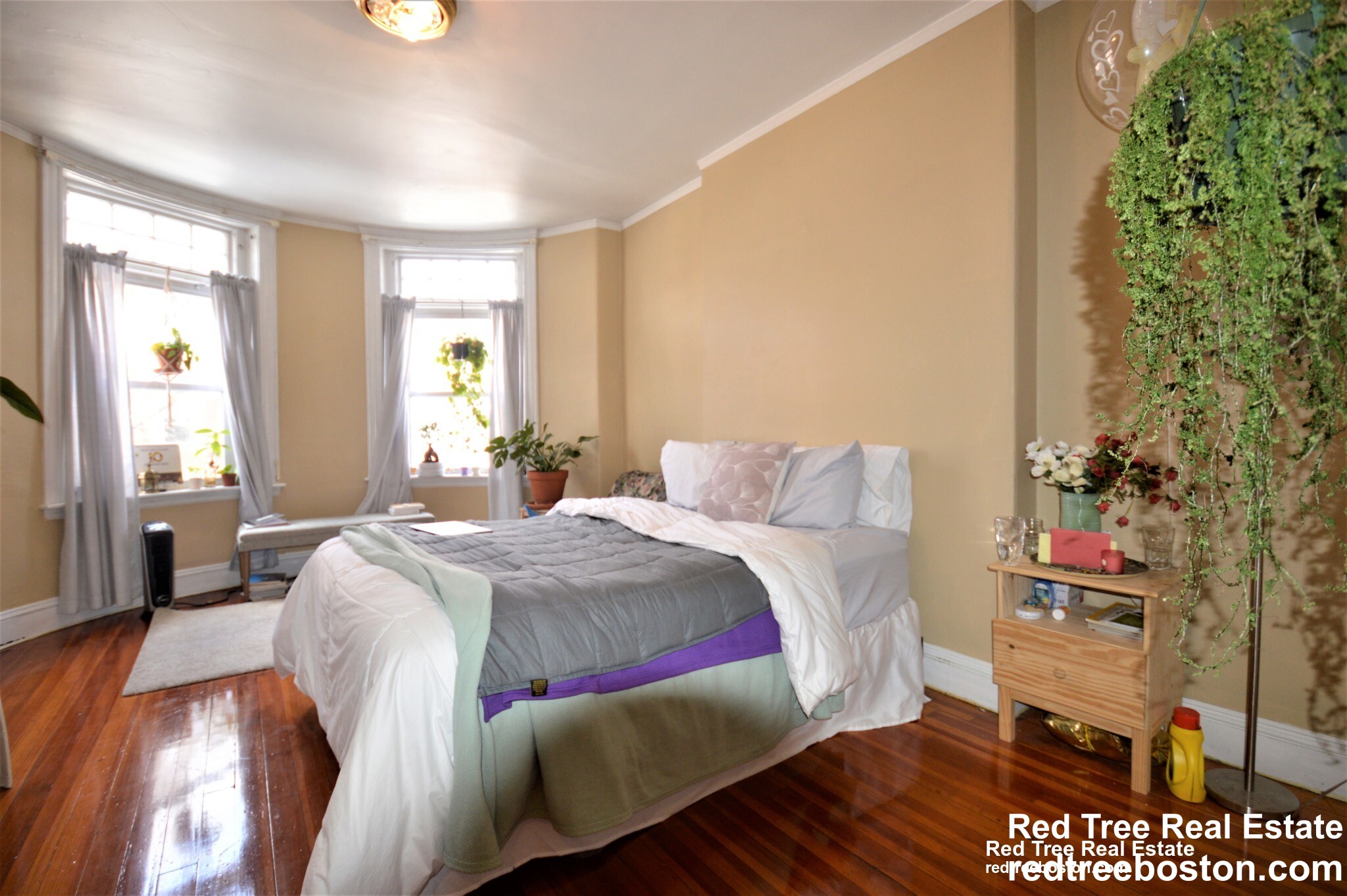 10 Strathmore Rd, Brookline