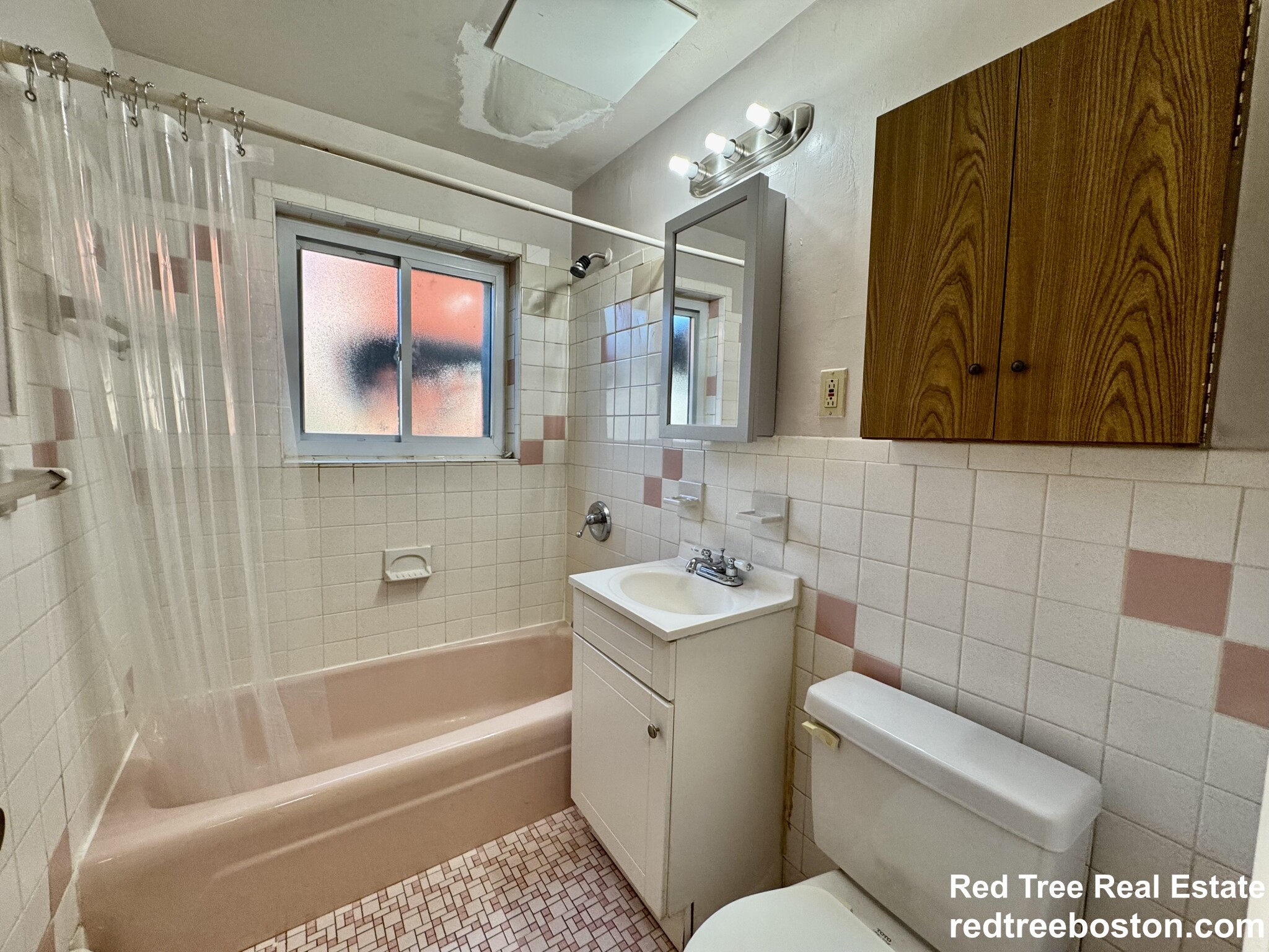 6 Waterloo St, Hyde Park