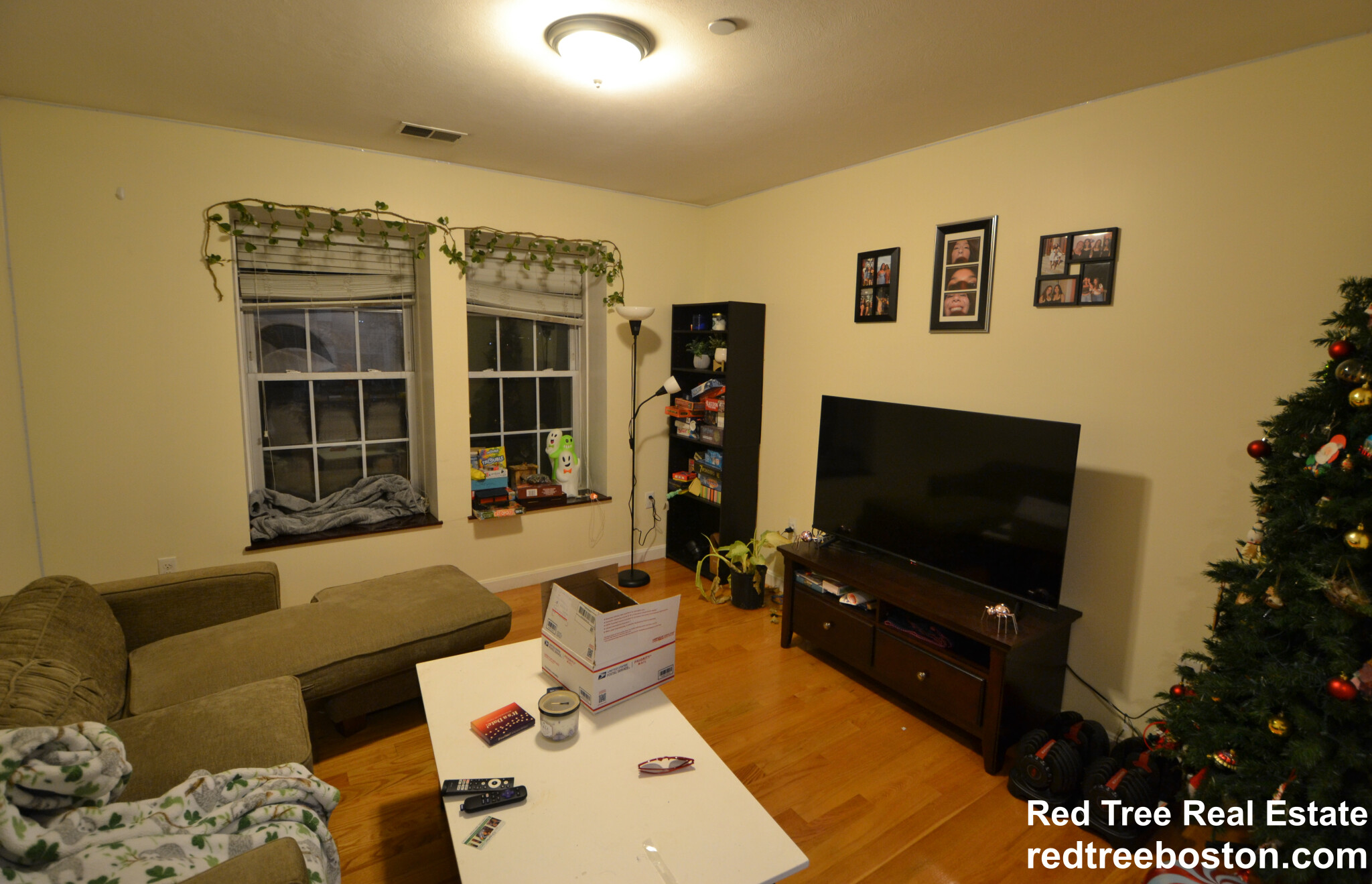 207 Hillside St, Mission Hill