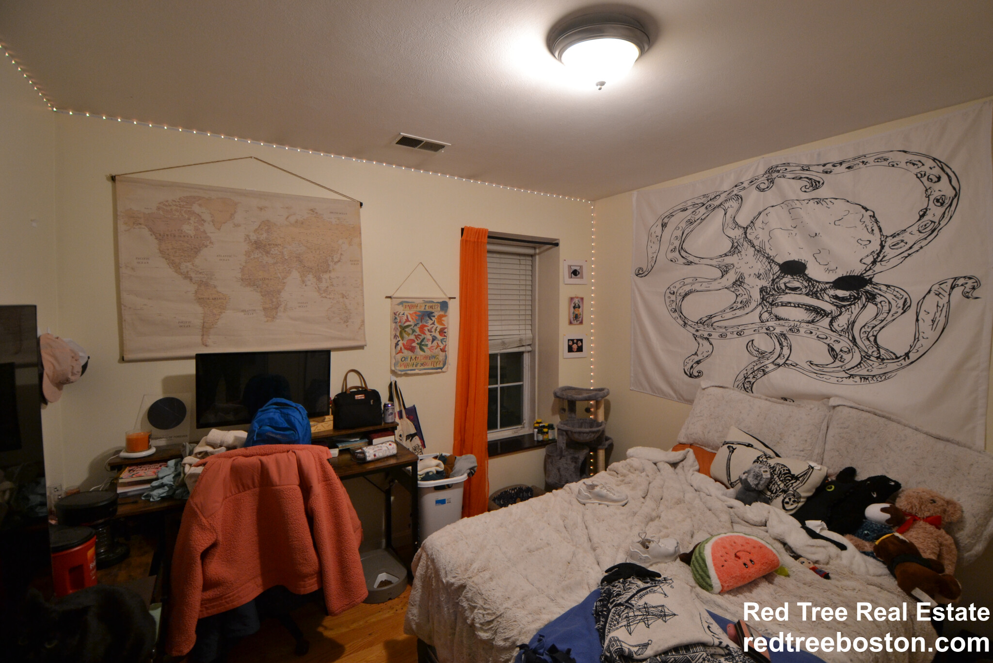 207 Hillside St, Mission Hill