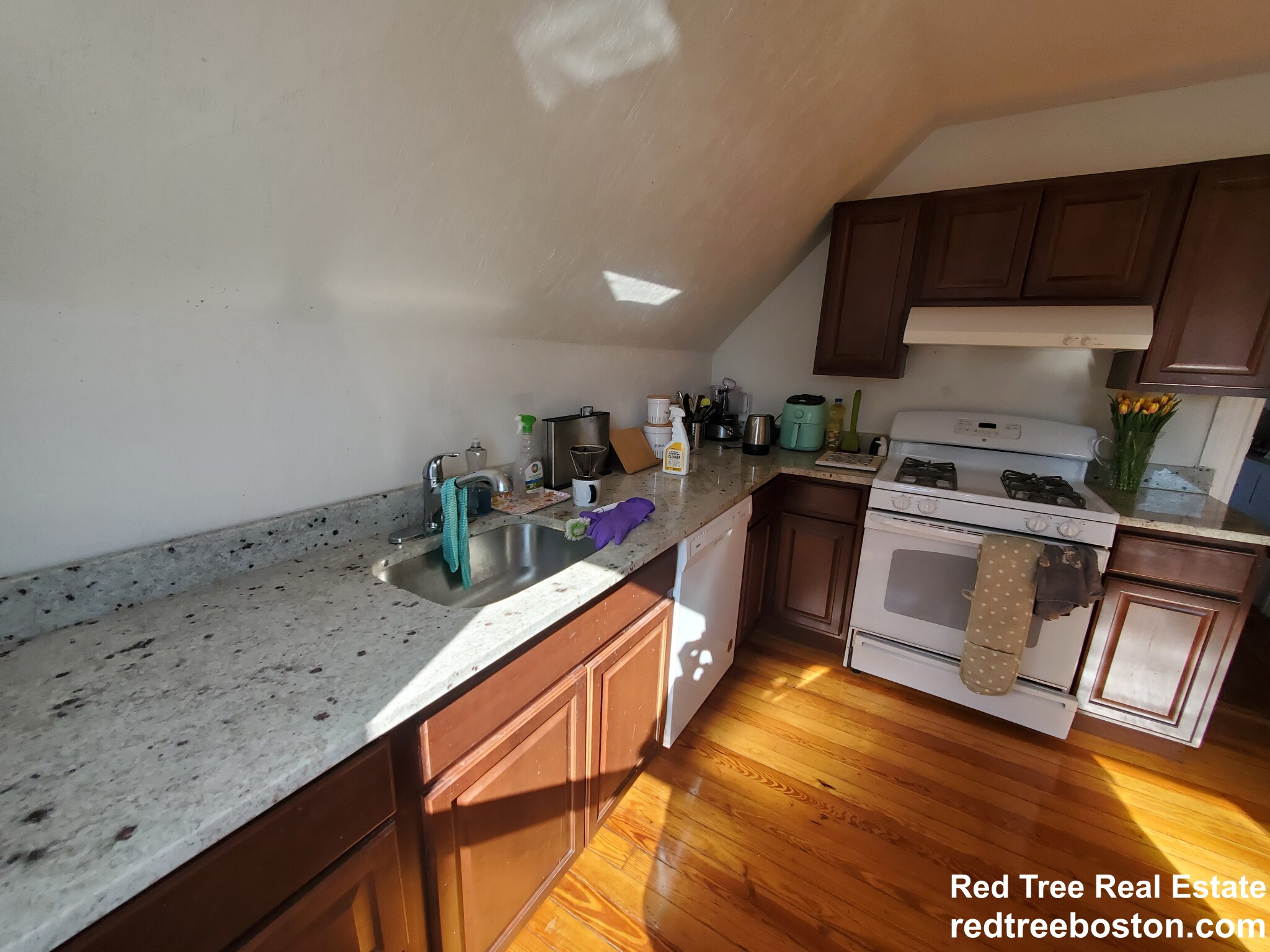 250 Belgrade Ave, Roslindale