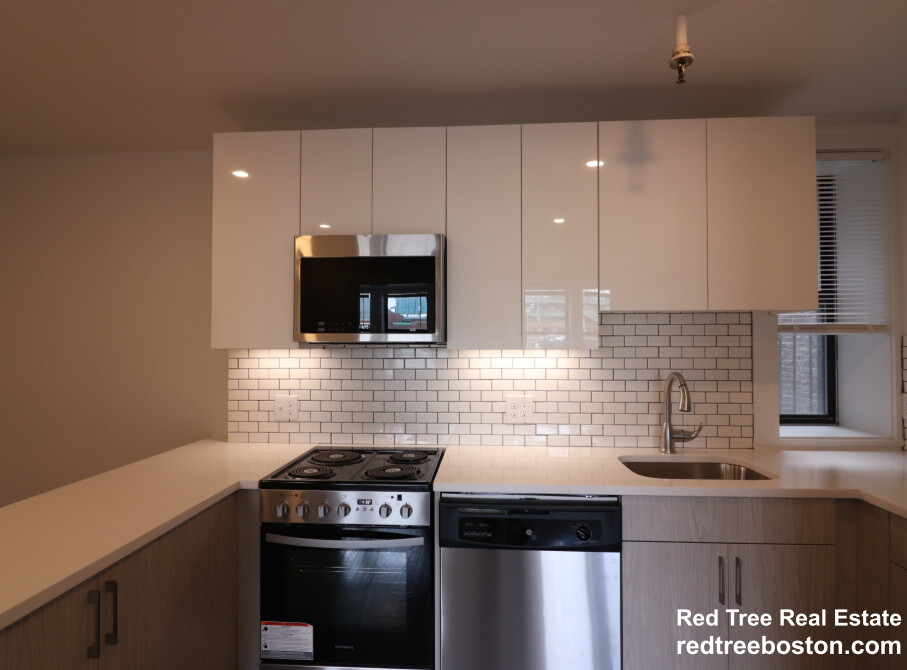 19 Peterborough St, Fenway