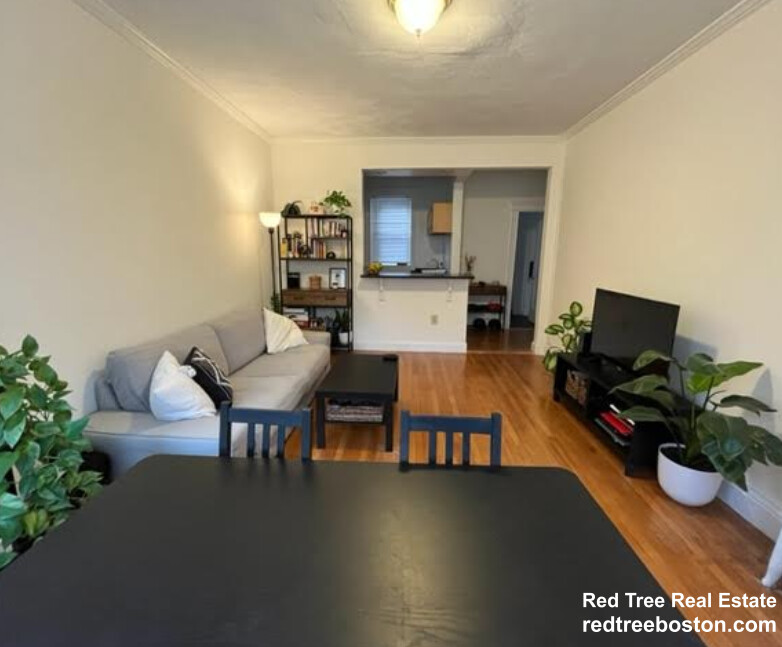 111 Queensberry St, Fenway