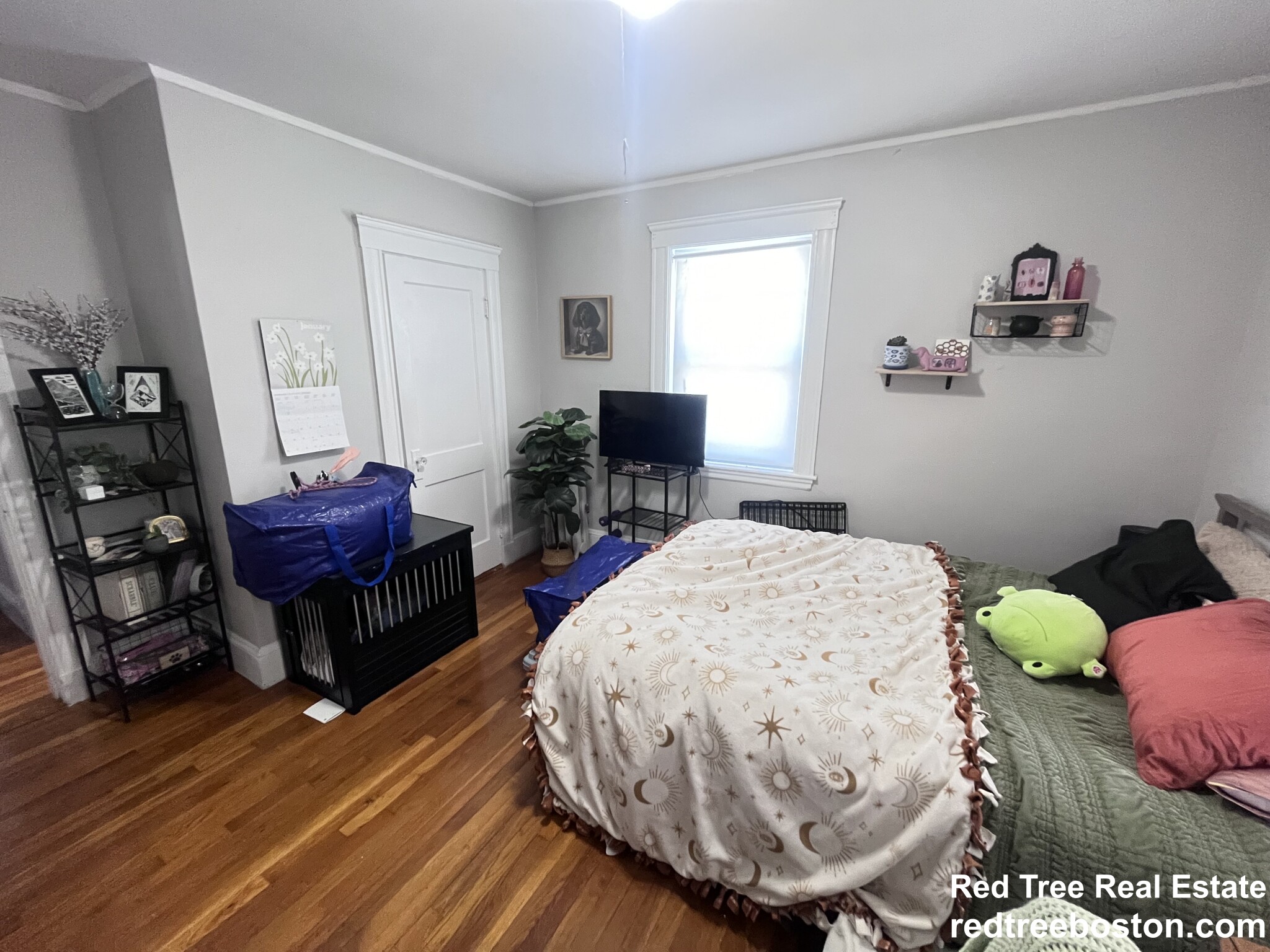 136 Arlington St, Brighton