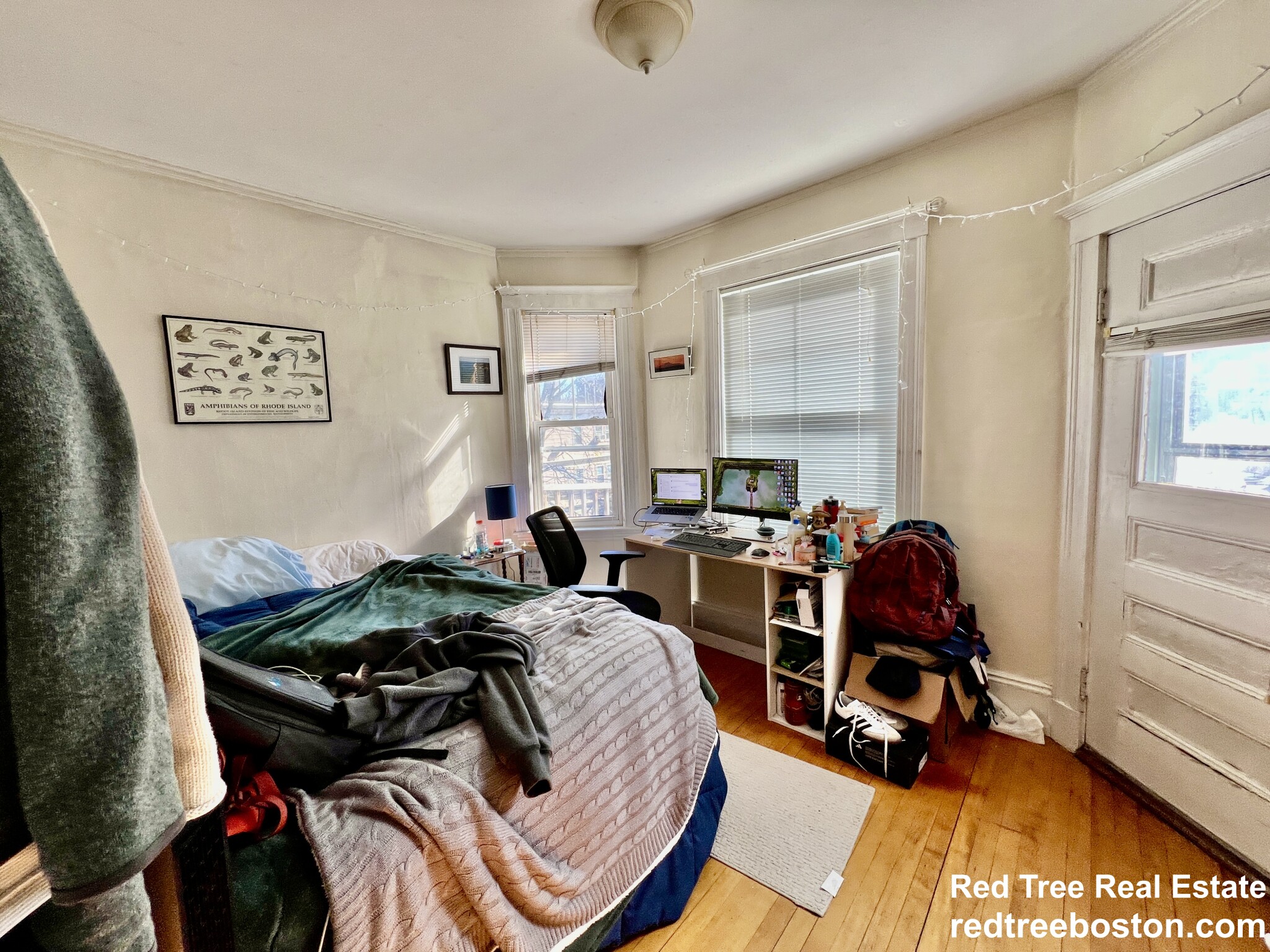 331 Faneuil St, Brighton