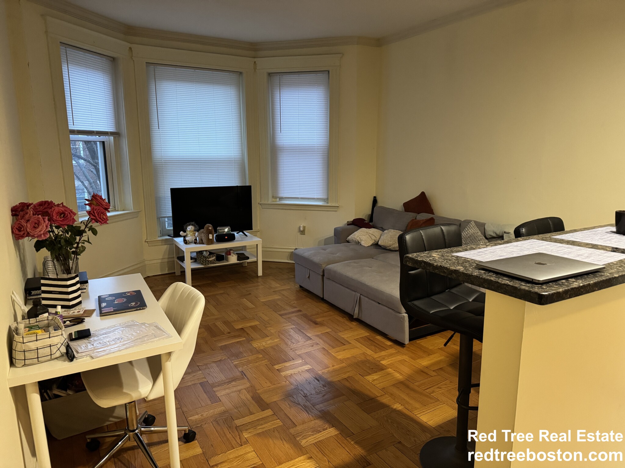 20 Queensberry St, Fenway