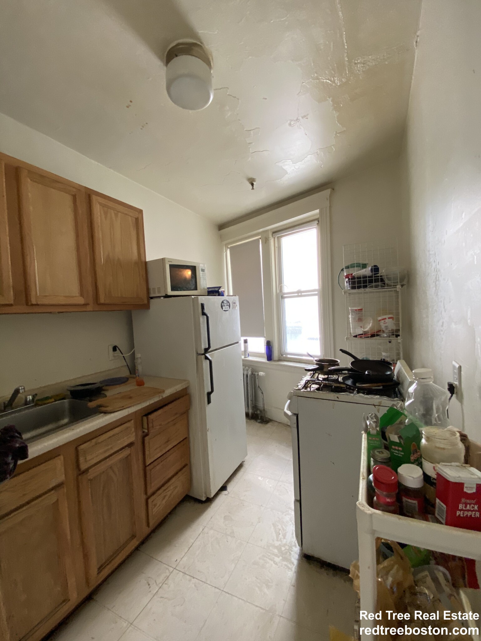 https://ygl-photos.s3.us-west-004.backblazeb2.com/655W68374e41a1b11.jpg