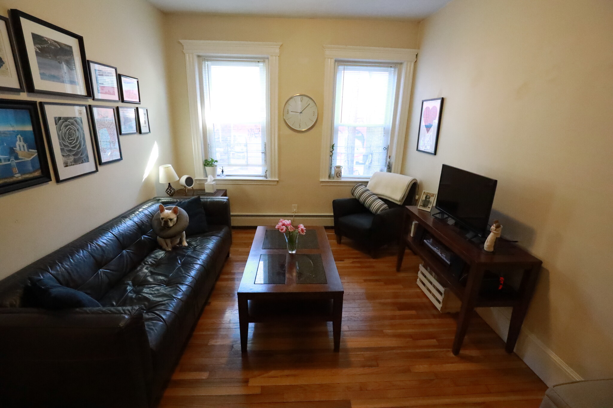 1 bed, 1 bath apartment for rent at 19 Chester St Unit 4, Allston — photo 4 of 14