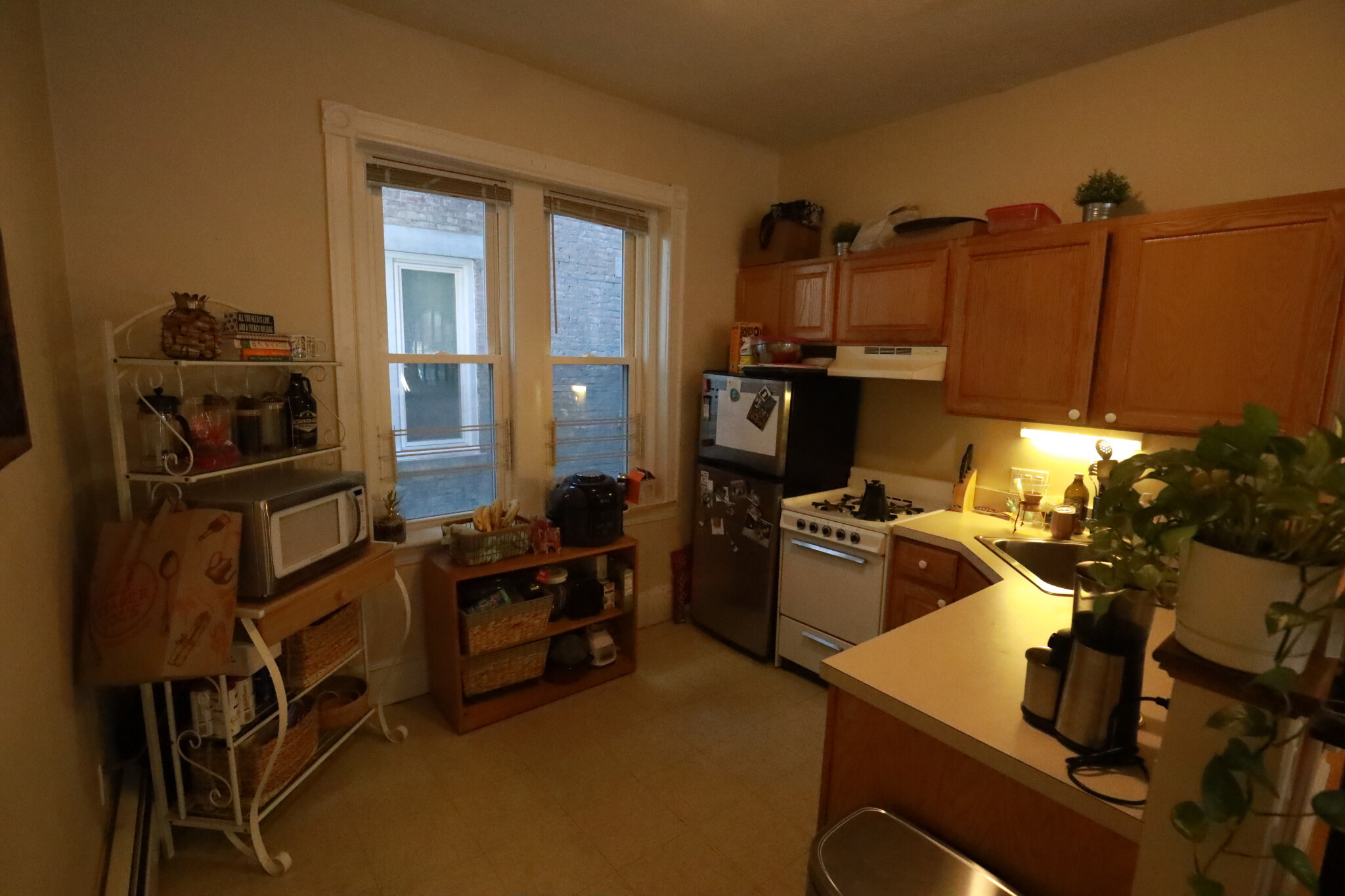1 bed, 1 bath apartment for rent at 19 Chester St Unit 4, Allston — photo 9 of 14