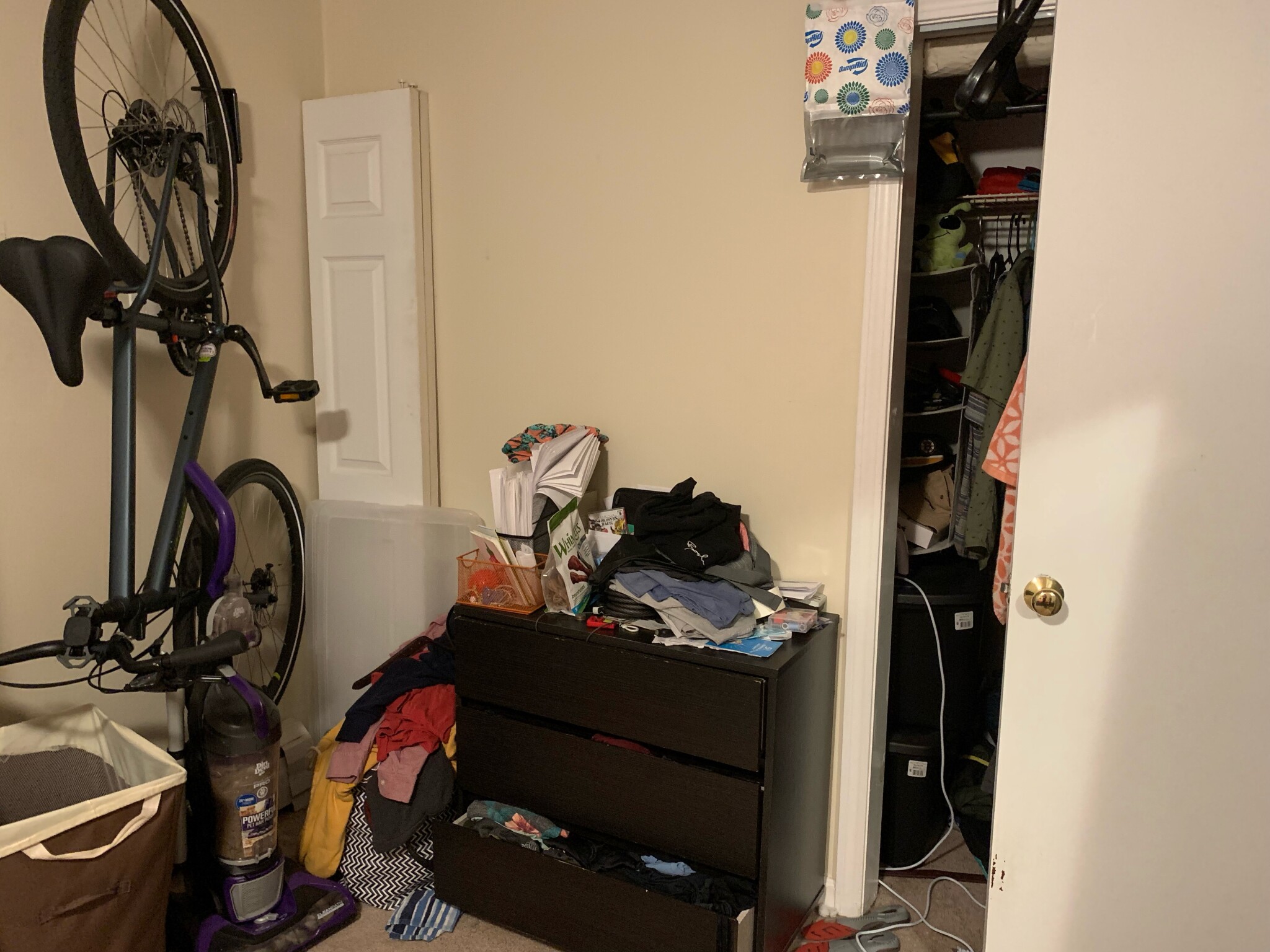 1 bed, 1 bath apartment for rent at 211 Harvard Ave Unit B, Allston — photo 5 of 7