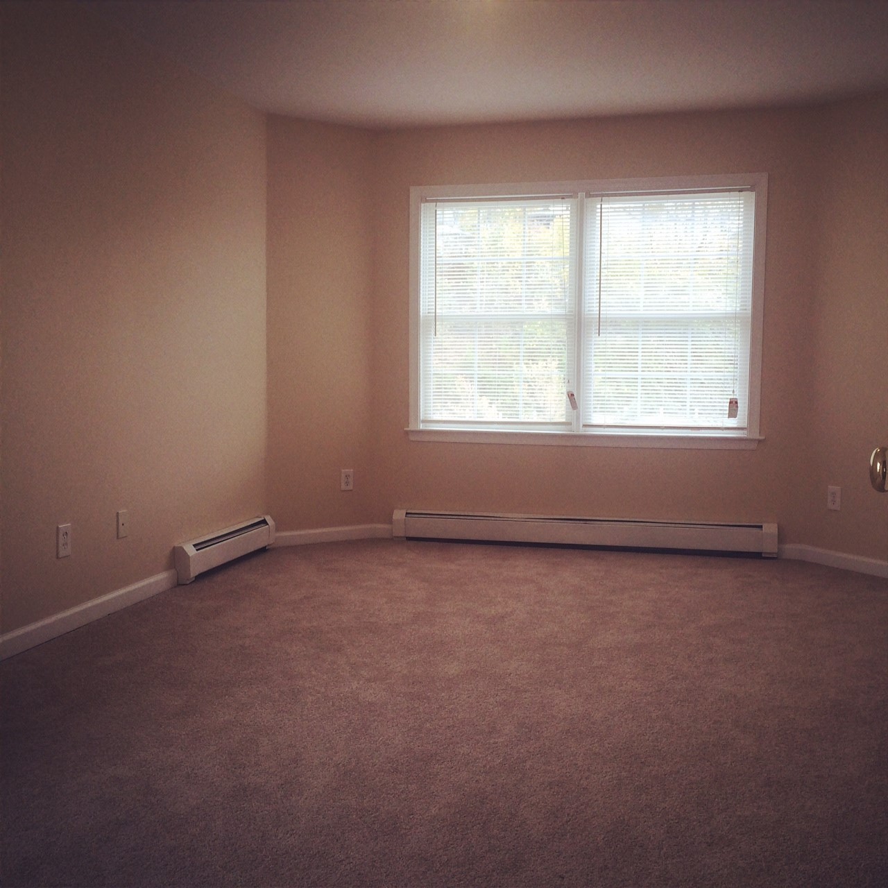 5 bed, 2 bath apartment for rent at 2595 Washington St, Roxbury — photo 5 of 9