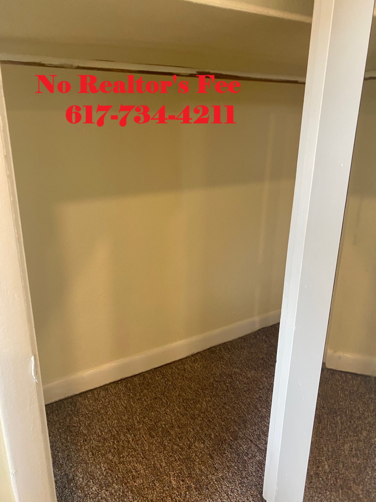 https://ygl-photos.s3.us-west-004.backblazeb2.com/665O685588b45a3d2.jpg