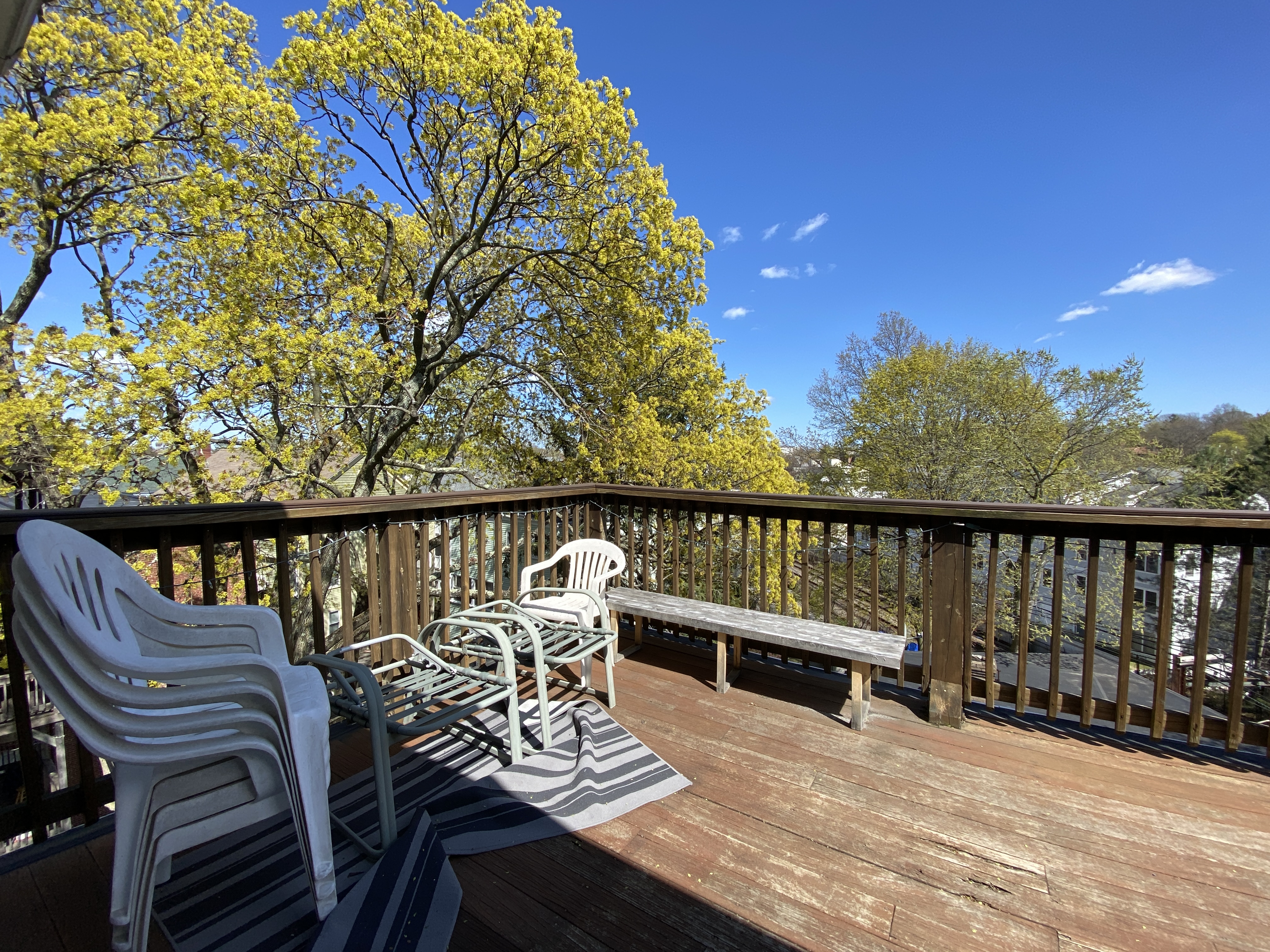 102 Cypress St, Brookline Village