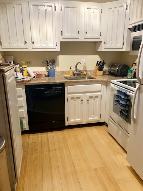 160 Commonweath Ave, Back Bay