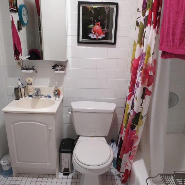 1 bed, 2 bath apartment for rent at 33 Winchester St Unit 1, Back Bay — photo 11 of 13