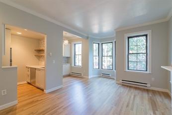 216 Springfield St, South End