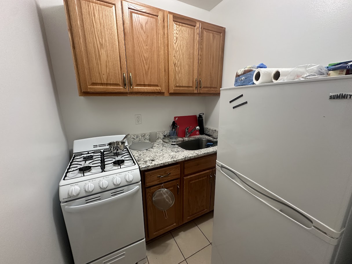 14 Palace Rd, Fenway