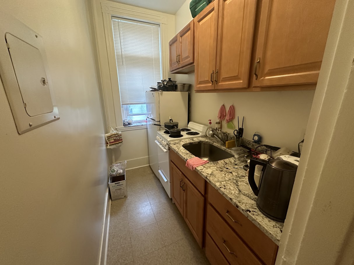 11 Tetlow St, Longwood