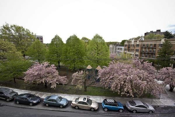 2 bed, 1 bath apartment for rent at 125 Chiswick Rd Unit 509, Brighton — photo 16 of 19