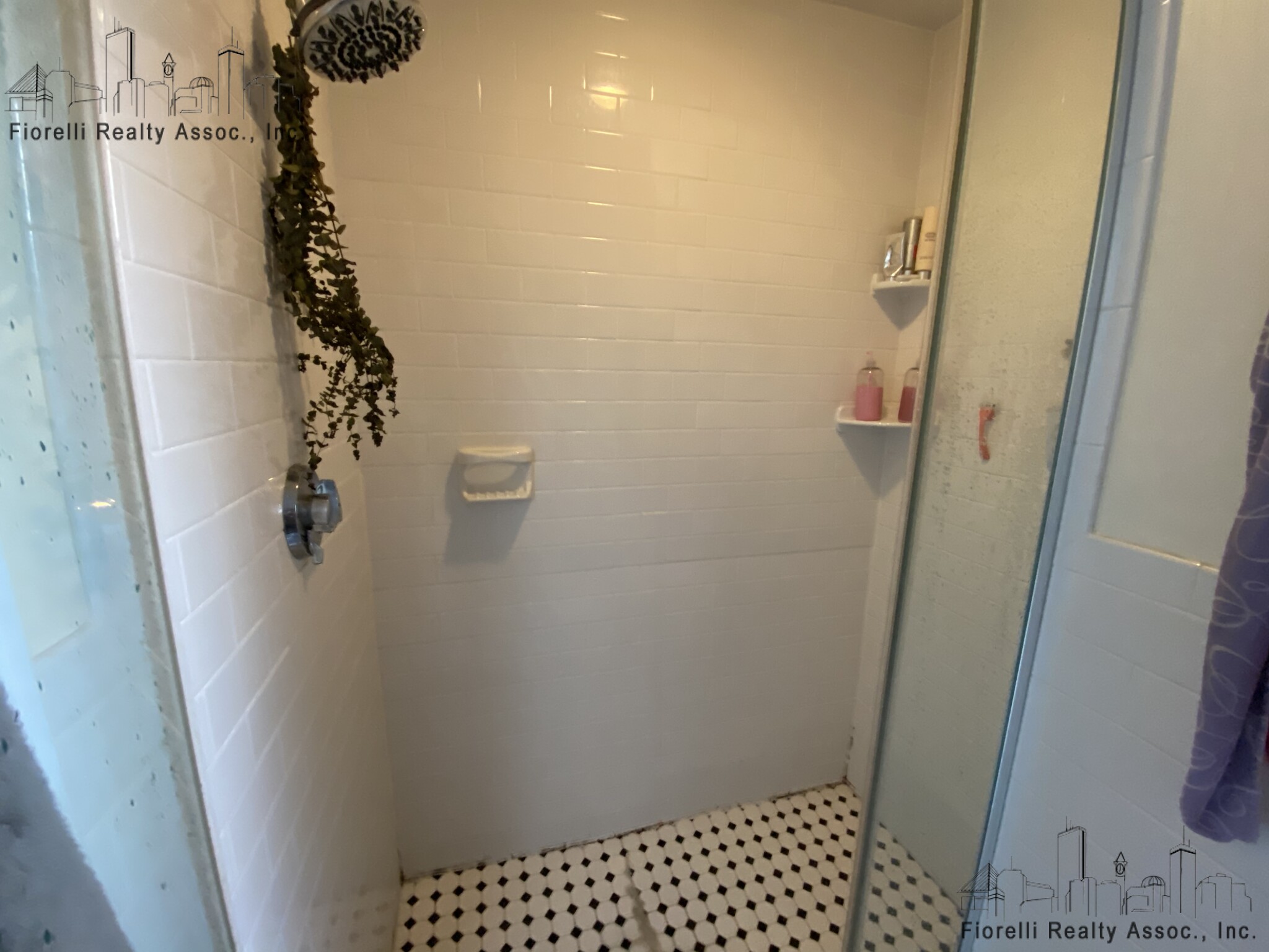 25 Clark St, North End