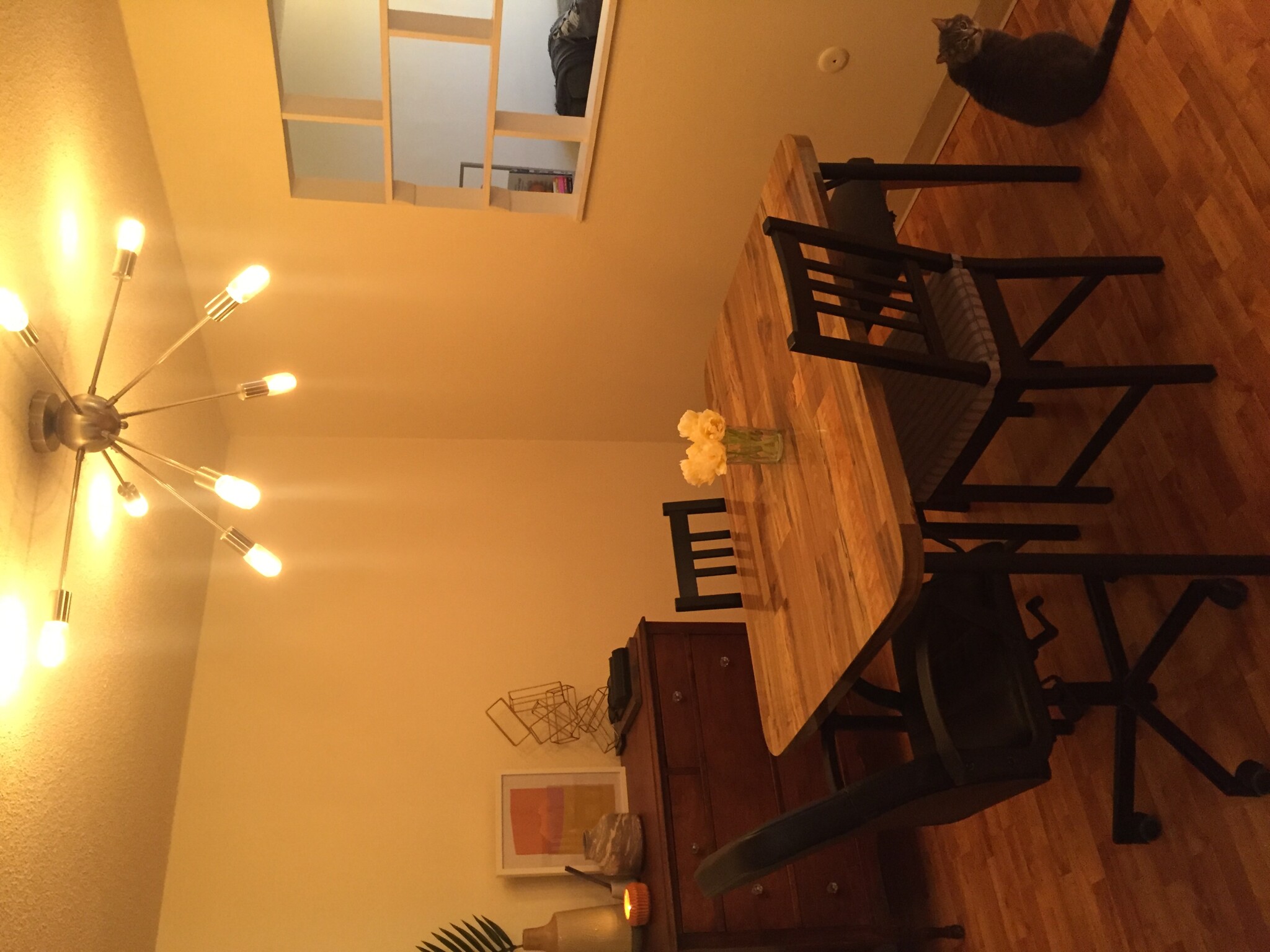 Photos of apartment on Beacon St.,Somerville MA 02143