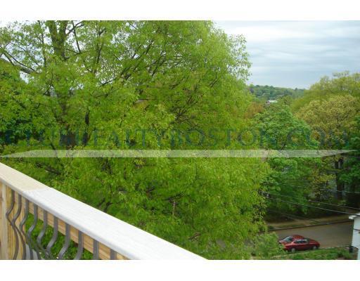 193 Forest St, Arlington