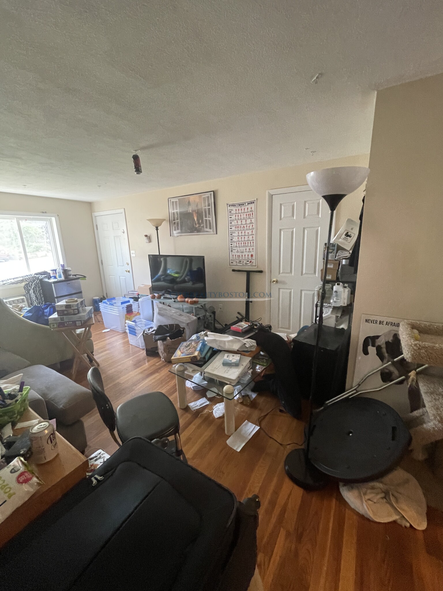 75 Thingvalla Ave, Waverley Square