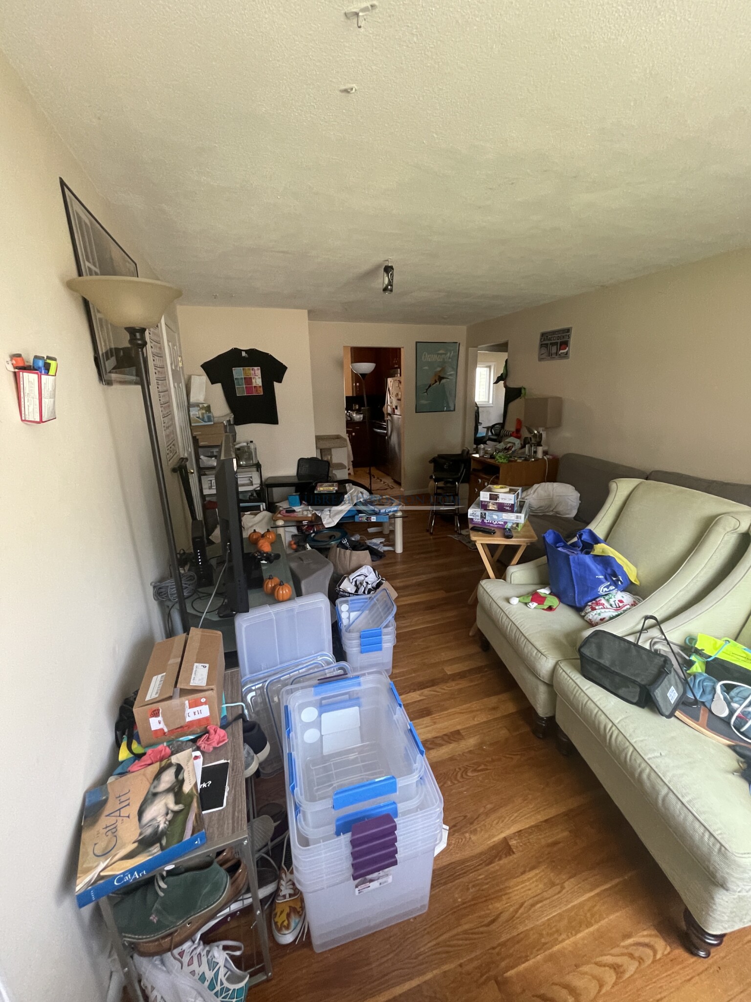 75 Thingvalla Ave, Waverley Square