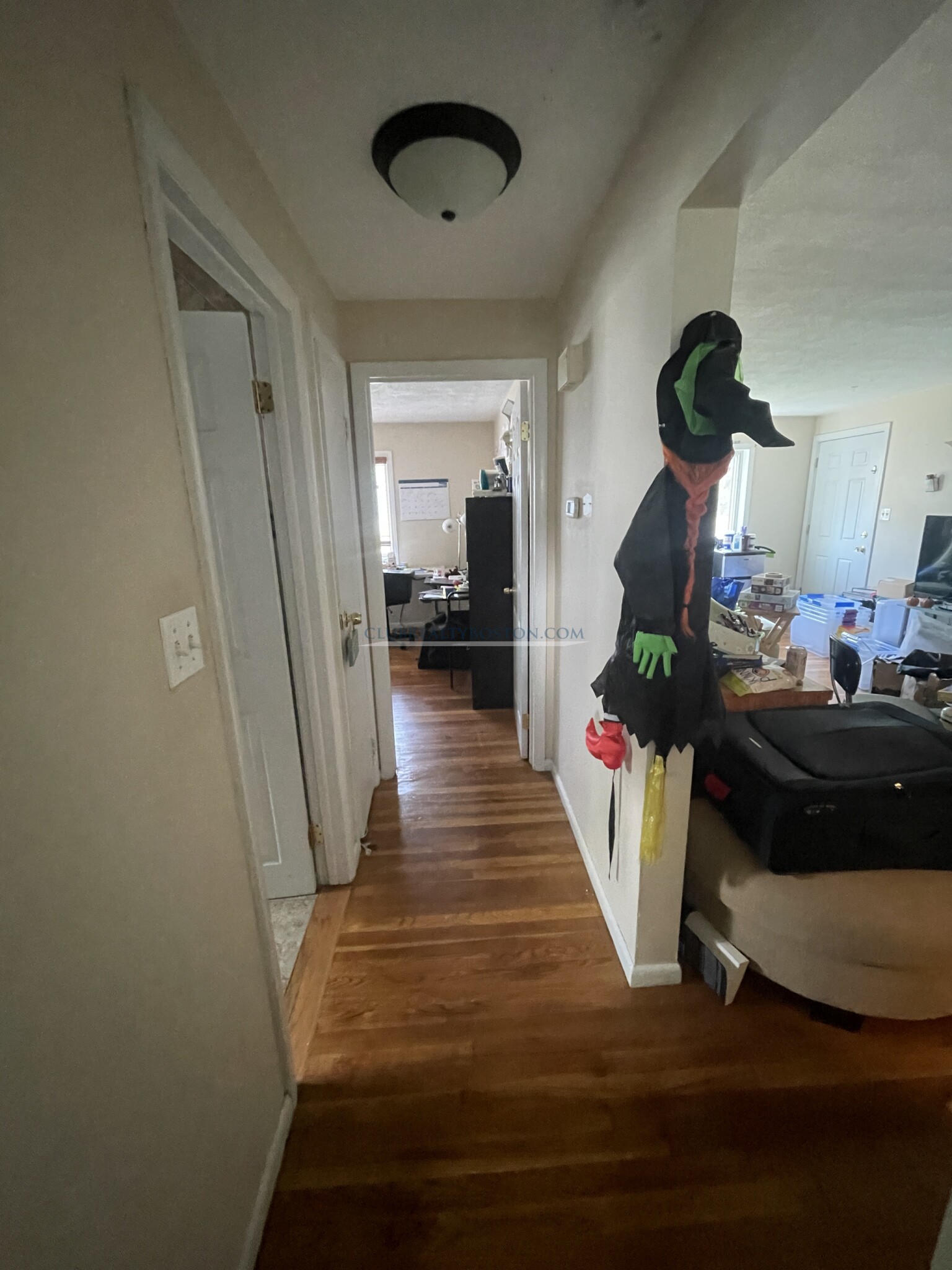 75 Thingvalla Ave, Waverley Square