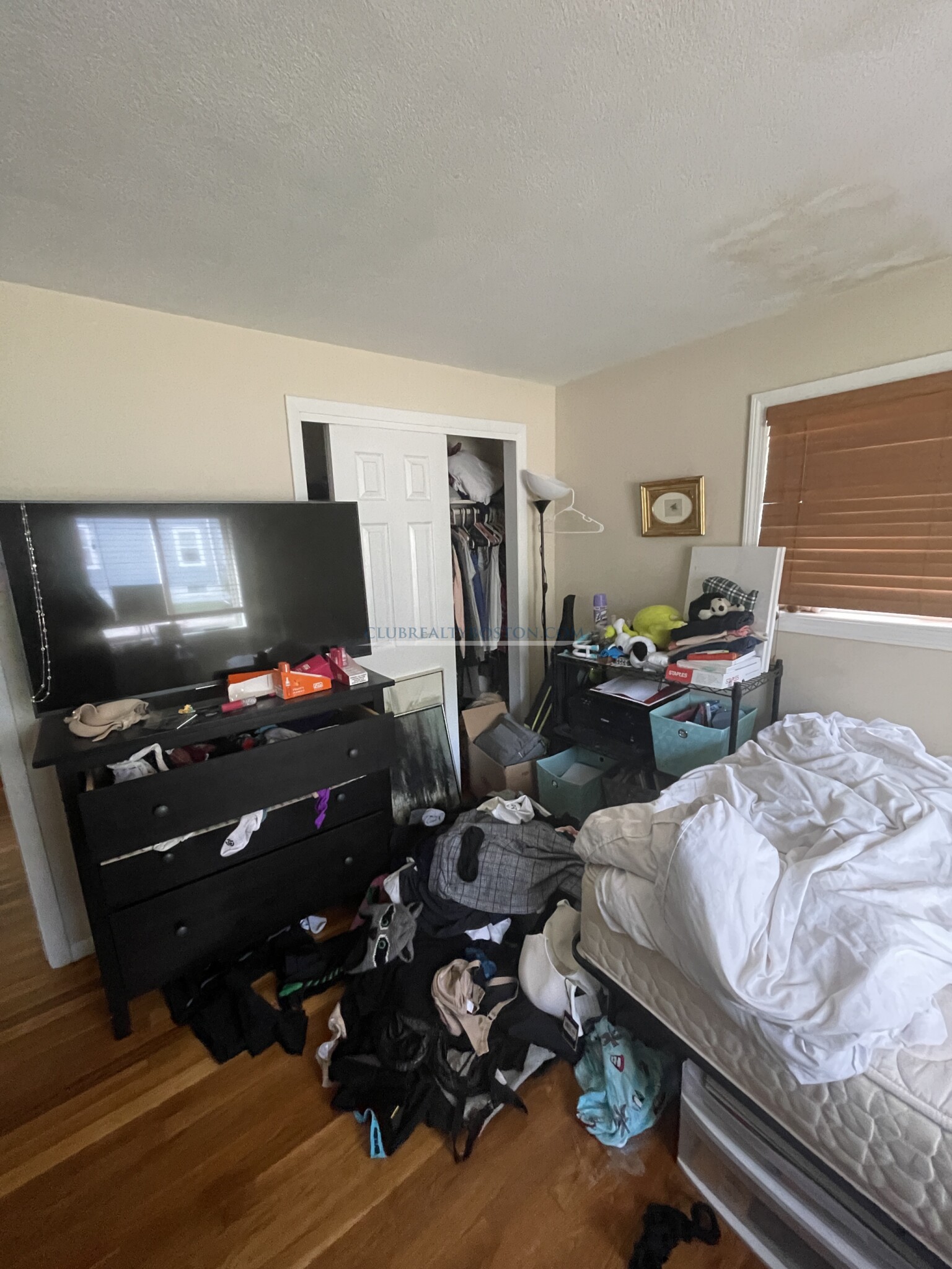 75 Thingvalla Ave, Waverley Square