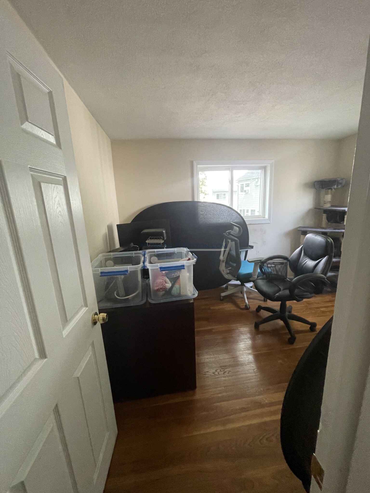 75 Thingvalla Ave, Waverley Square