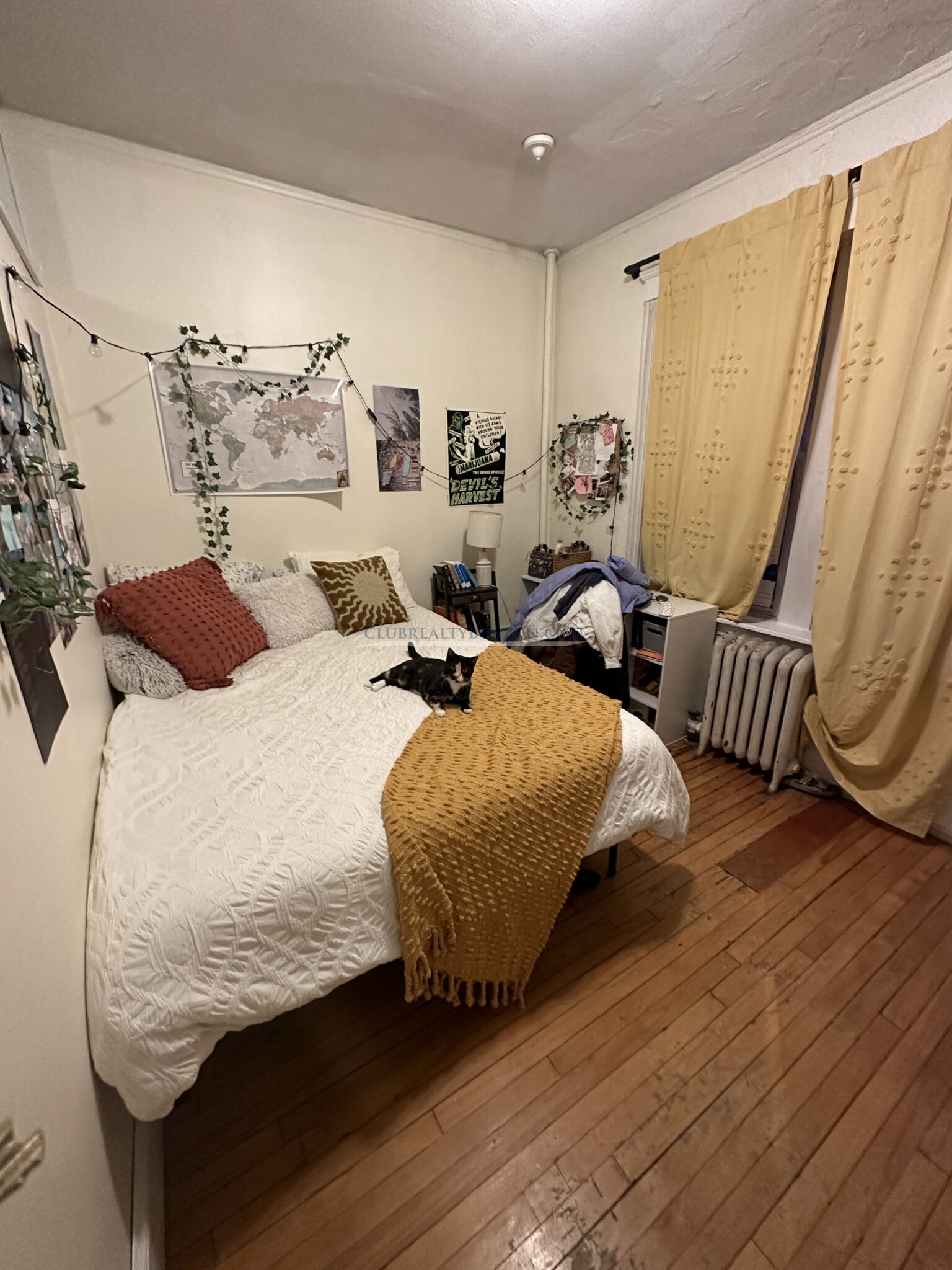 54 Egmont, Washington Square