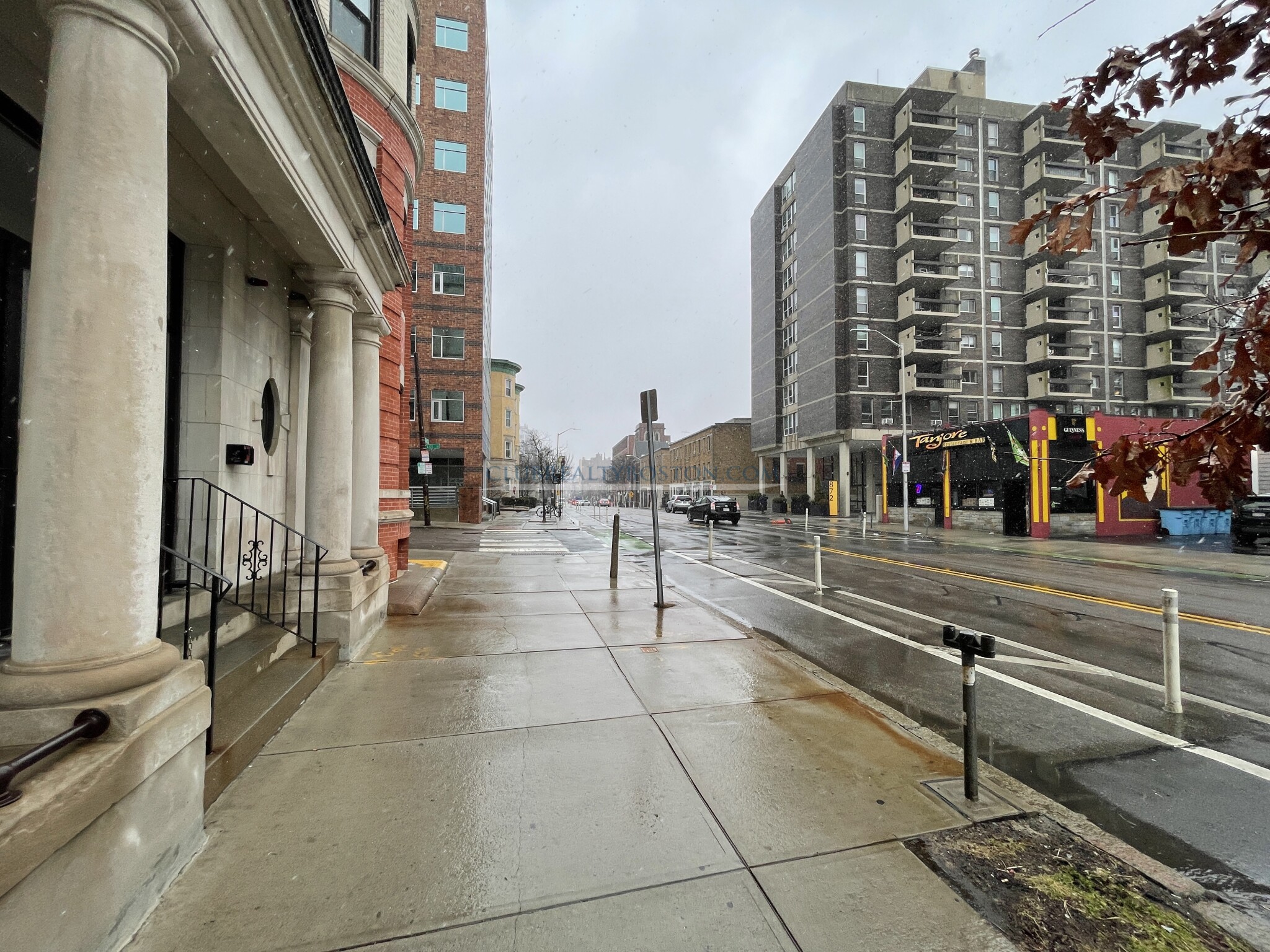 885 Massachusetts Ave, Harvard Square