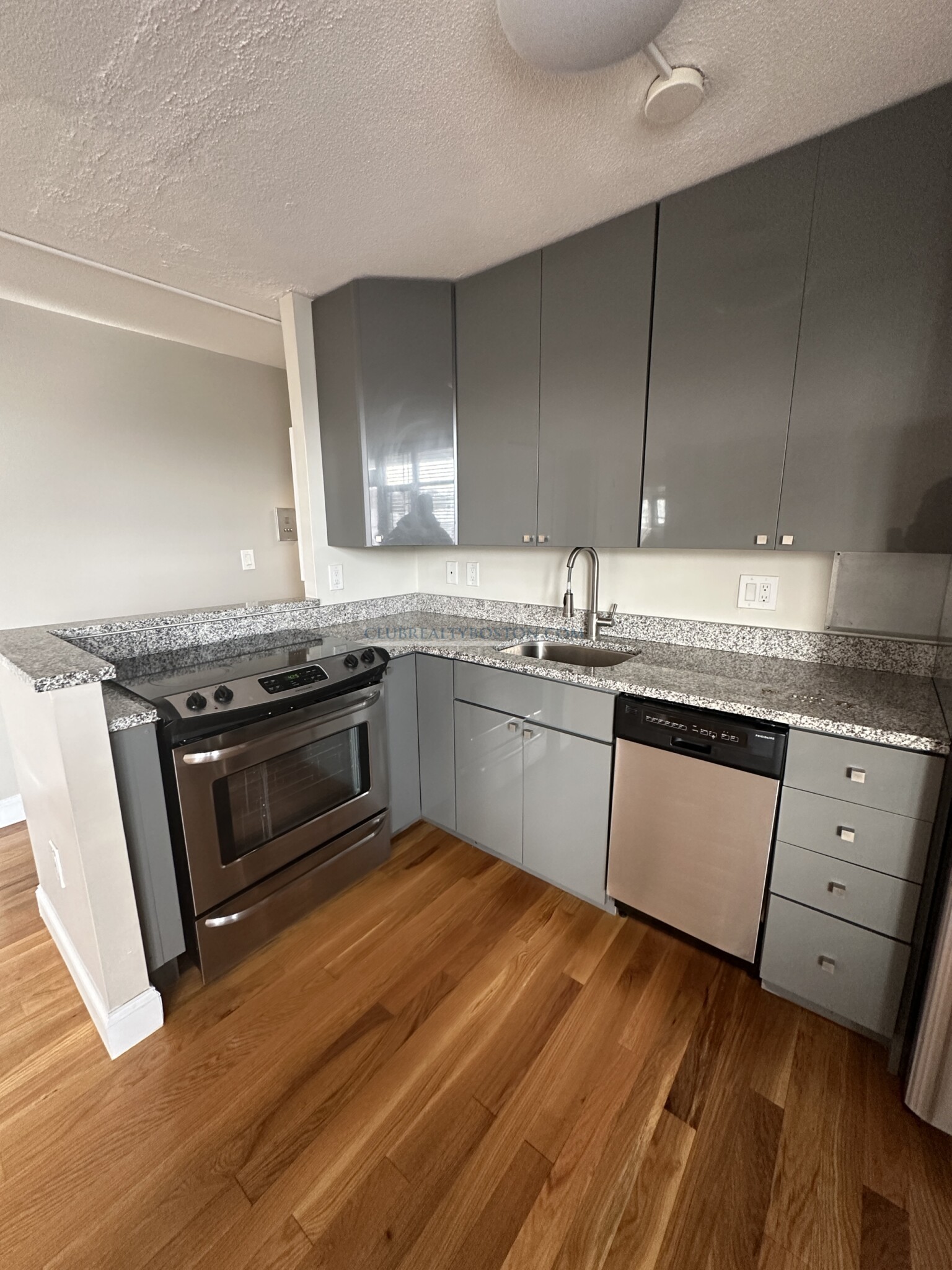 125 Trapelo Rd, Belmont