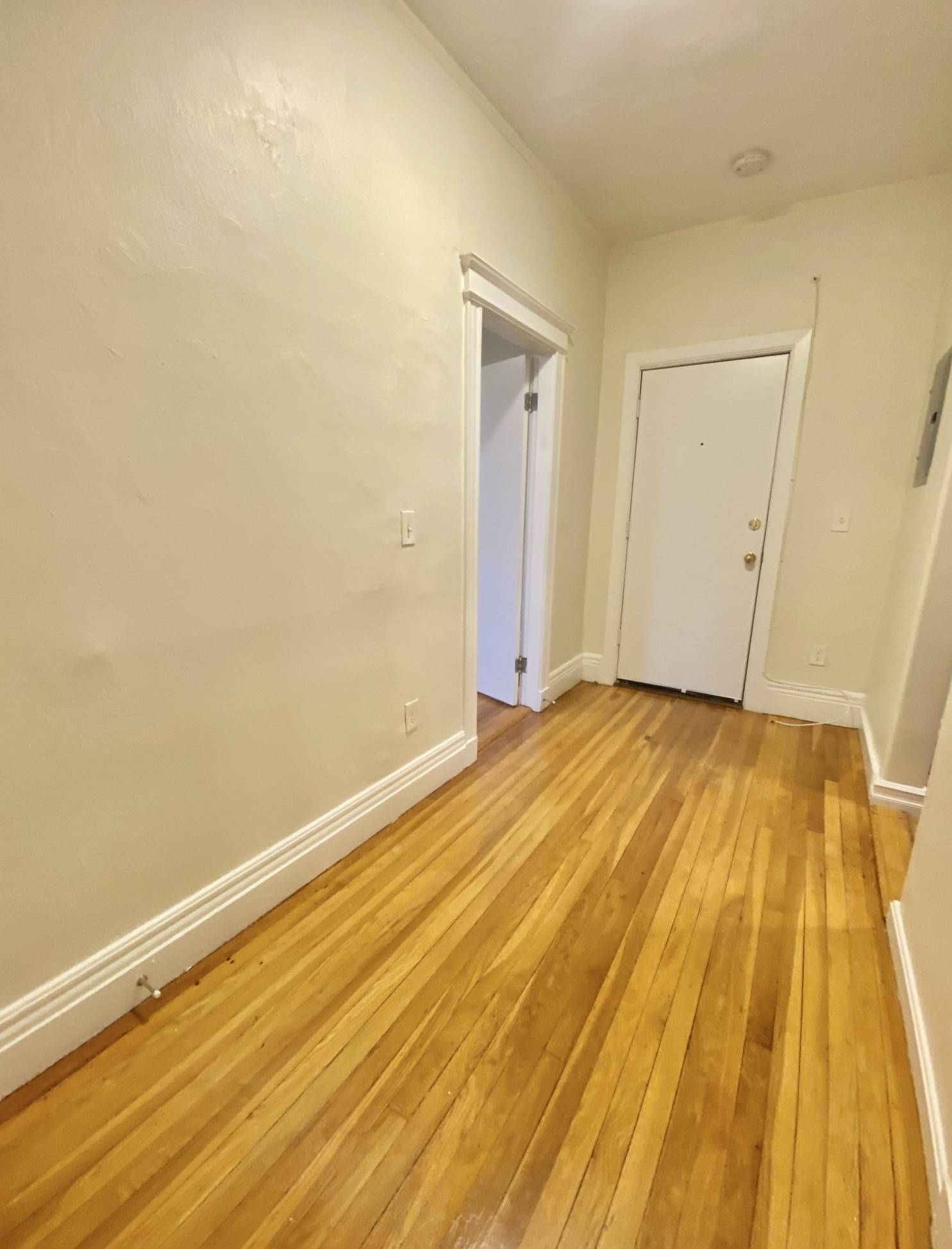 58 Queensberry St, Fenway