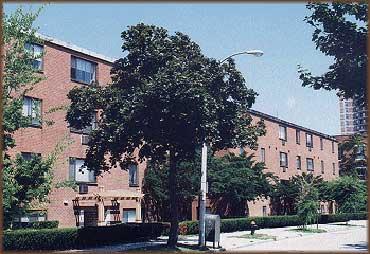 Studio bed, 1 bath apartment for rent at 230 Babcock St Unit 1, Brookline Hills