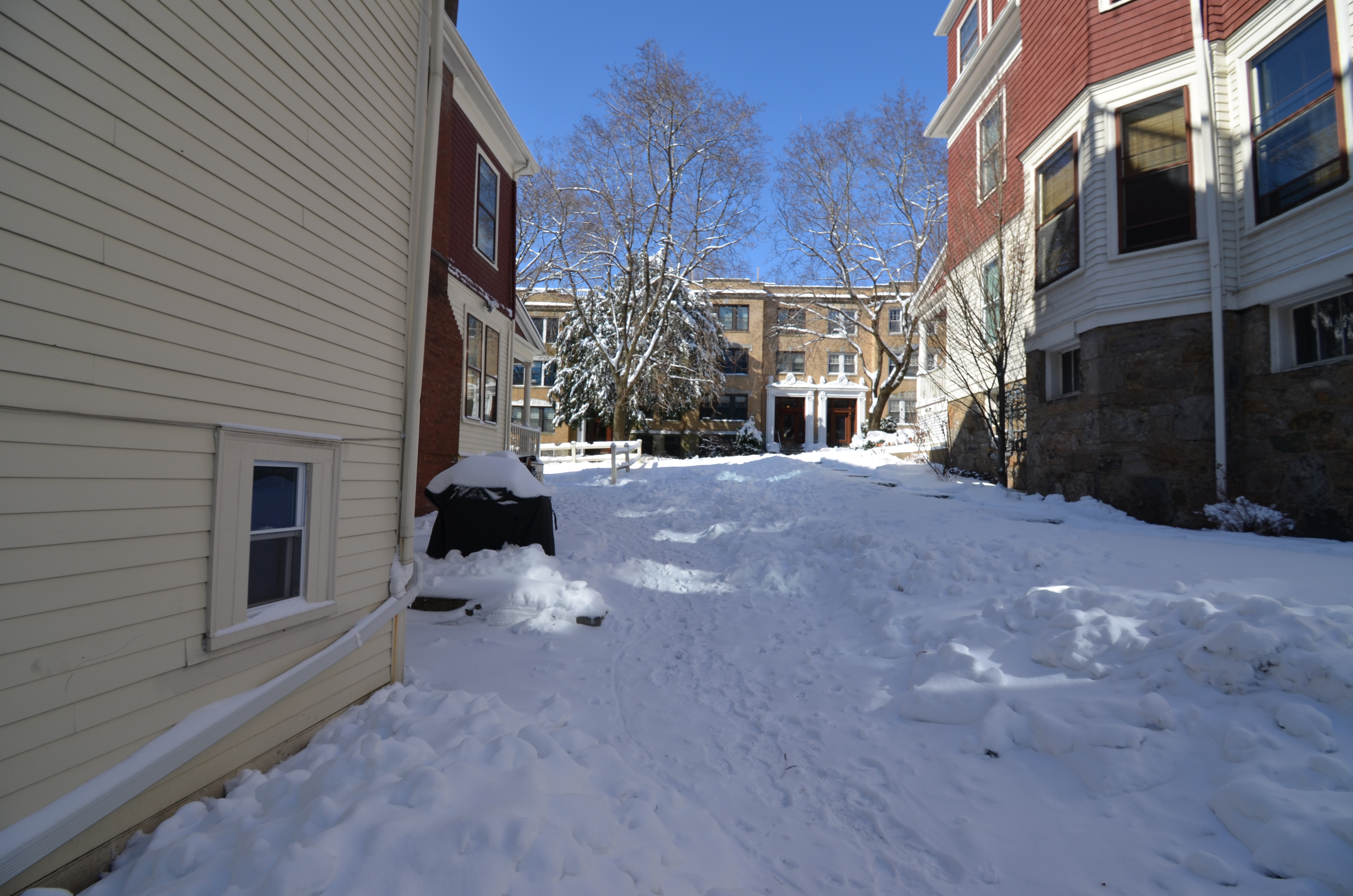 2 bed, 1 bath apartment for rent at 5 Fairbanks St Unit 3, Washington Square — photo 18 of 19
