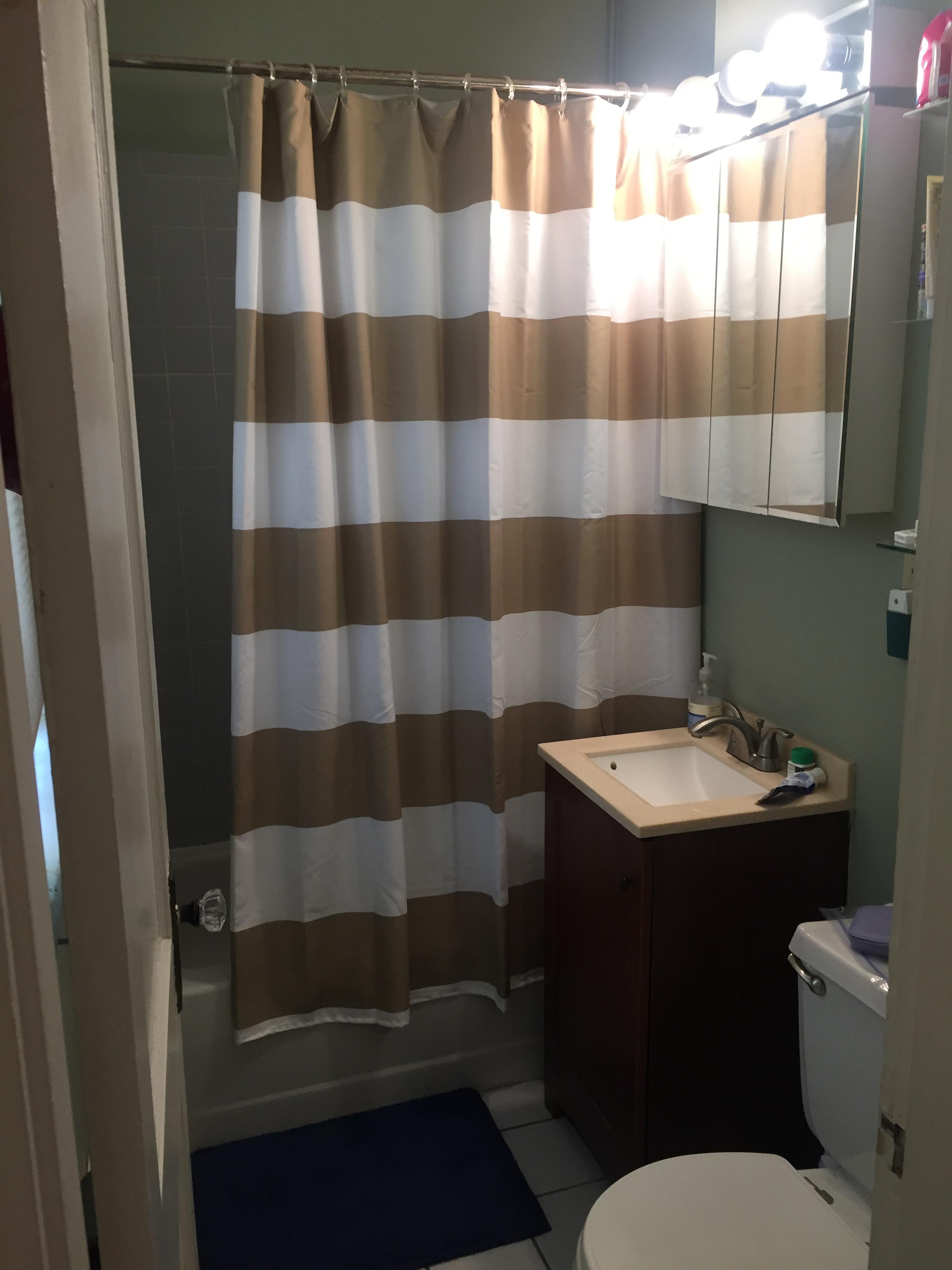 1 bed, 1 bath apartment for rent at 12 Ransom Rd Unit 8, Brighton — photo 2 of 3