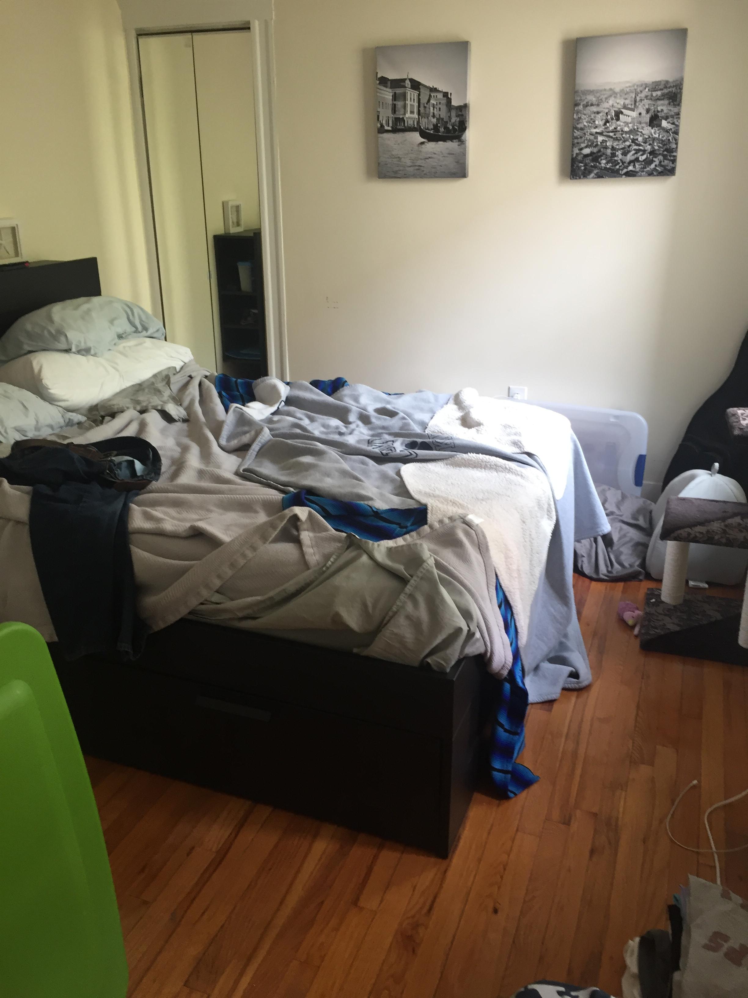 1 bed, 1 bath apartment for rent at 12 Ransom Rd Unit 8, Brighton — photo 3 of 3