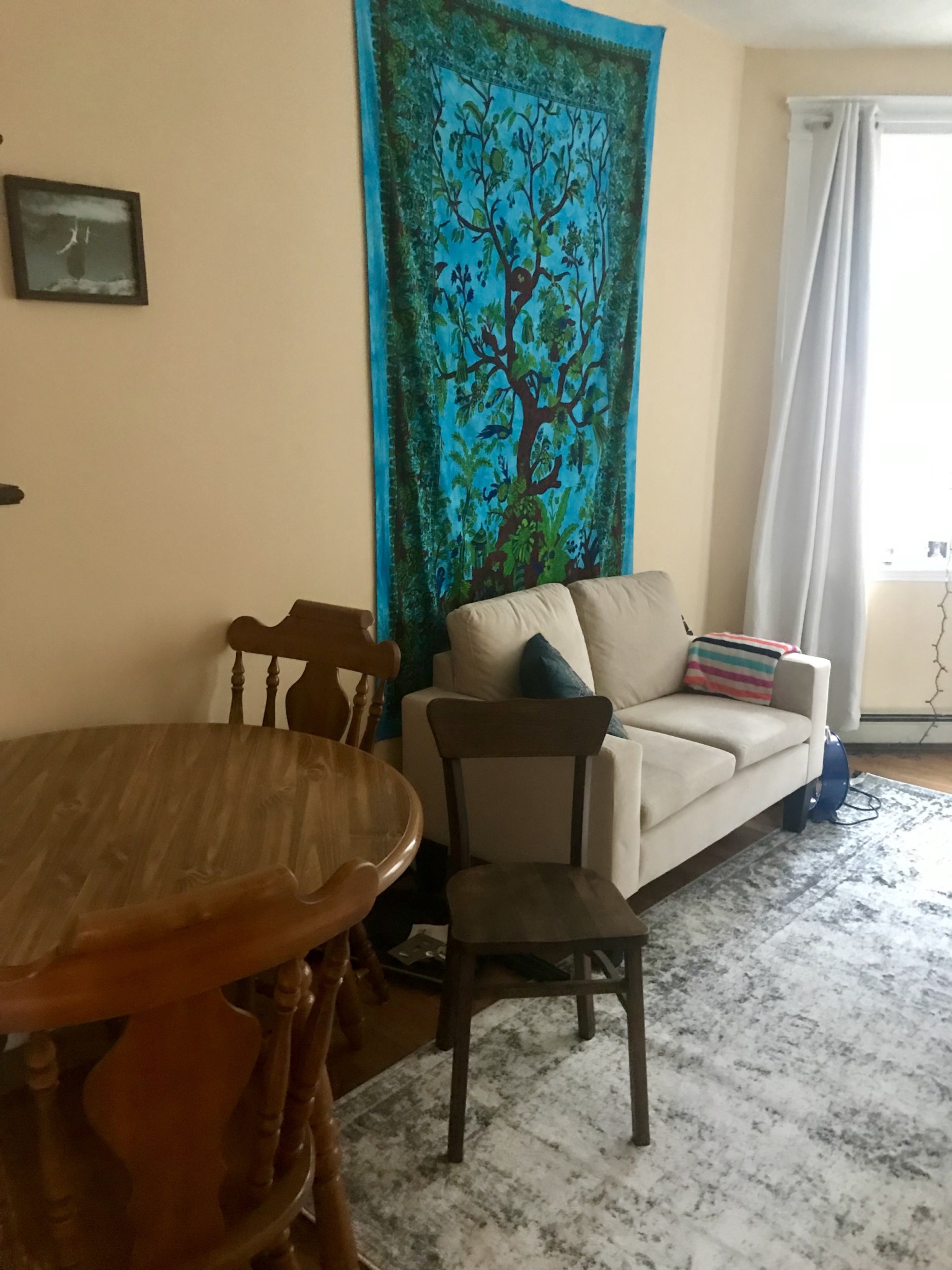 1 bed, 1 bath apartment for rent at 15 Colborne Rd Unit 15, Brighton — photo 2 of 6