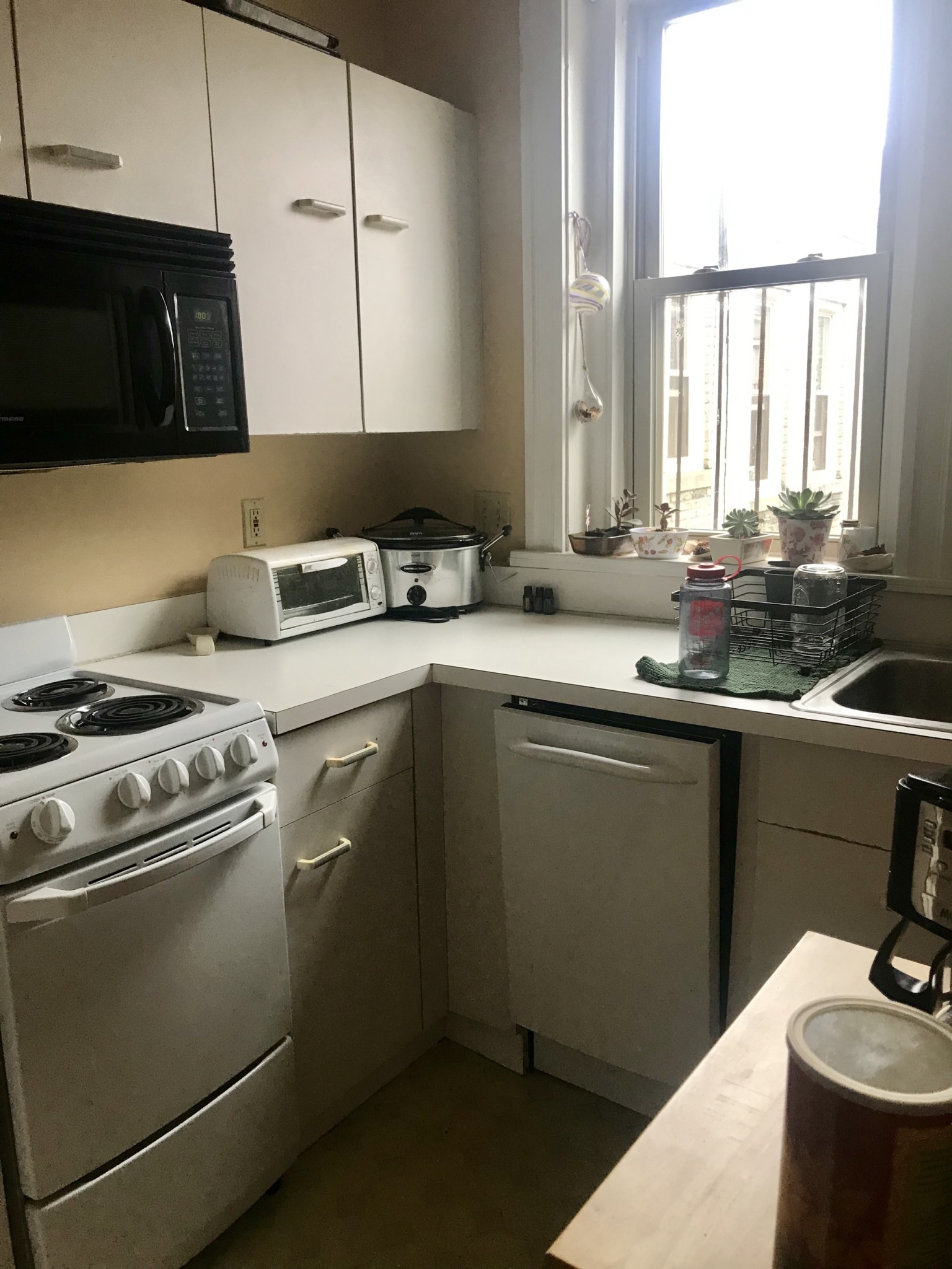 1 bed, 1 bath apartment for rent at 15 Colborne Rd Unit 15, Brighton — photo 3 of 6