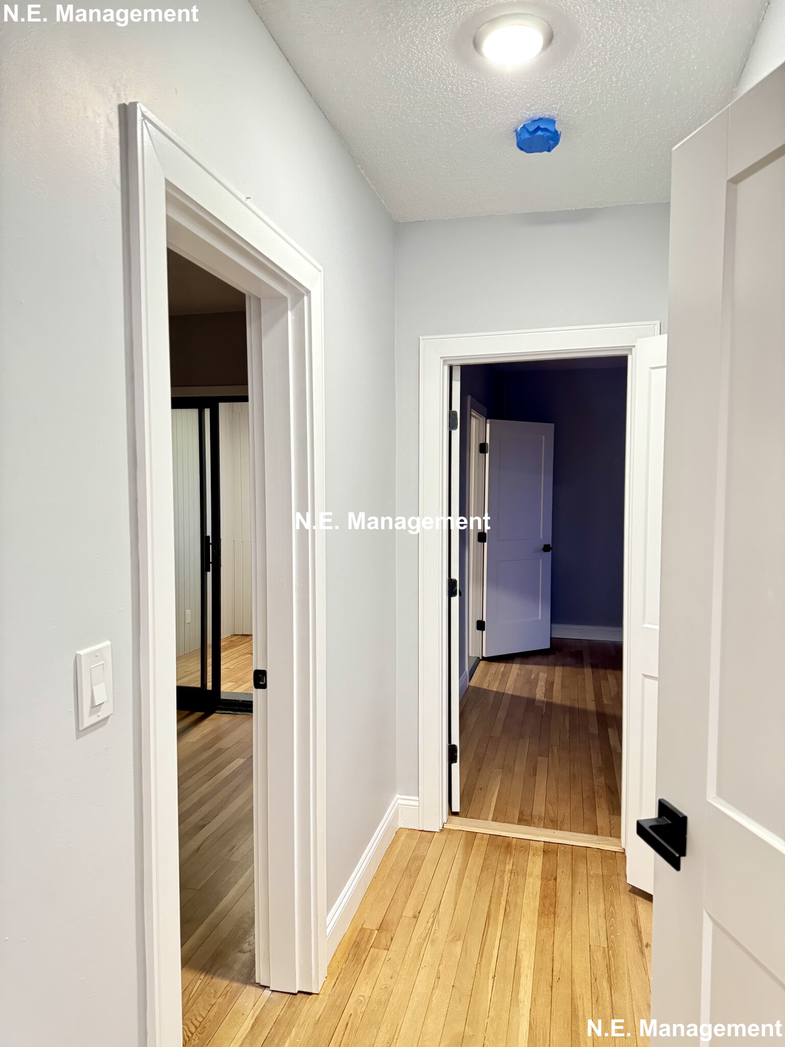 313 Summit Ave, Brighton