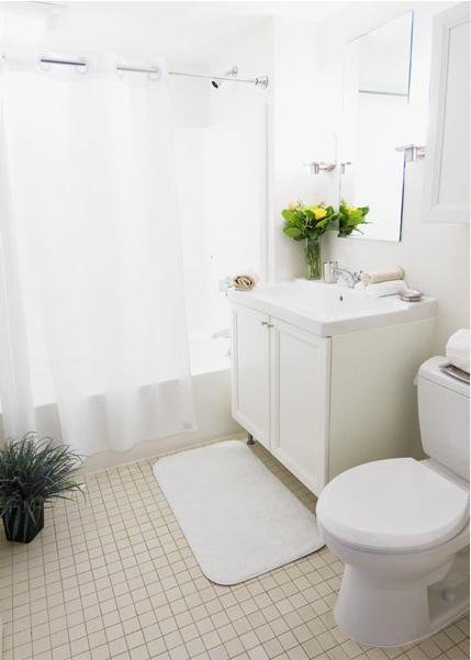 Studio bed, 1 bath apartment for rent at 1008 Massachusetts Ave Unit STUDIO, Harvard Square — photo 6 of 7