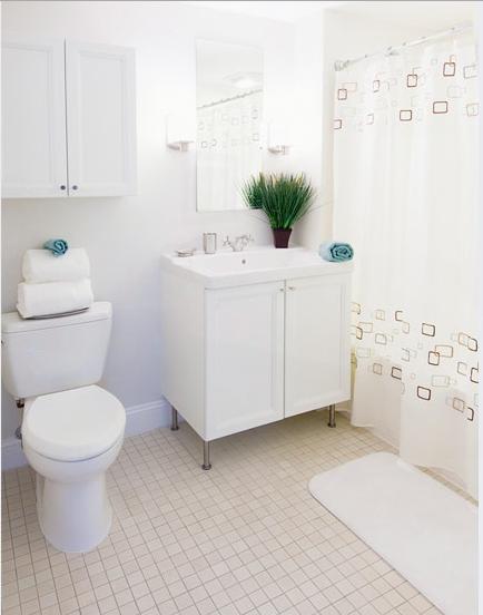 Studio bed, 1 bath apartment for rent at 1008 Massachusetts Ave Unit STUDIO, Harvard Square — photo 7 of 7