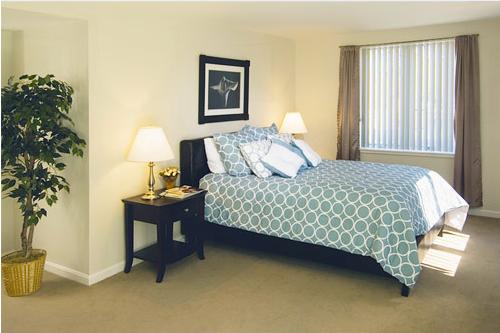 Studio bed, 1 bath apartment for rent at 1008 Massachusetts Ave Unit STUDIO, Harvard Square — photo 3 of 7
