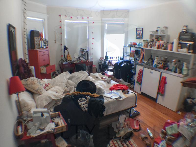 Studio bed, 1 bath apartment for rent at 19 Agassiz St Unit 3A, Porter Square — photo 7 of 8